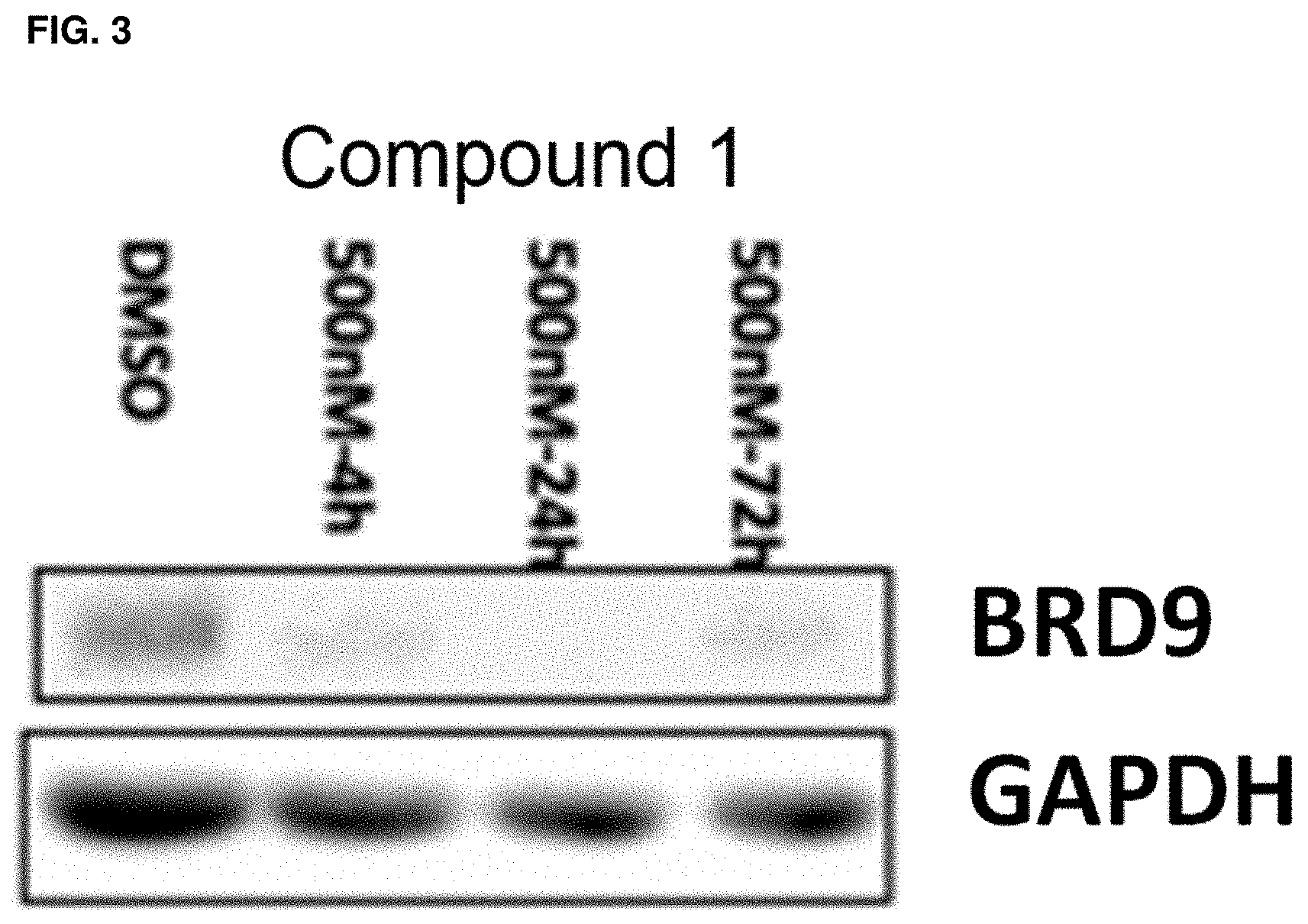 Patent US11787800 Figure 3 – BRD9 degraders and uses thereof