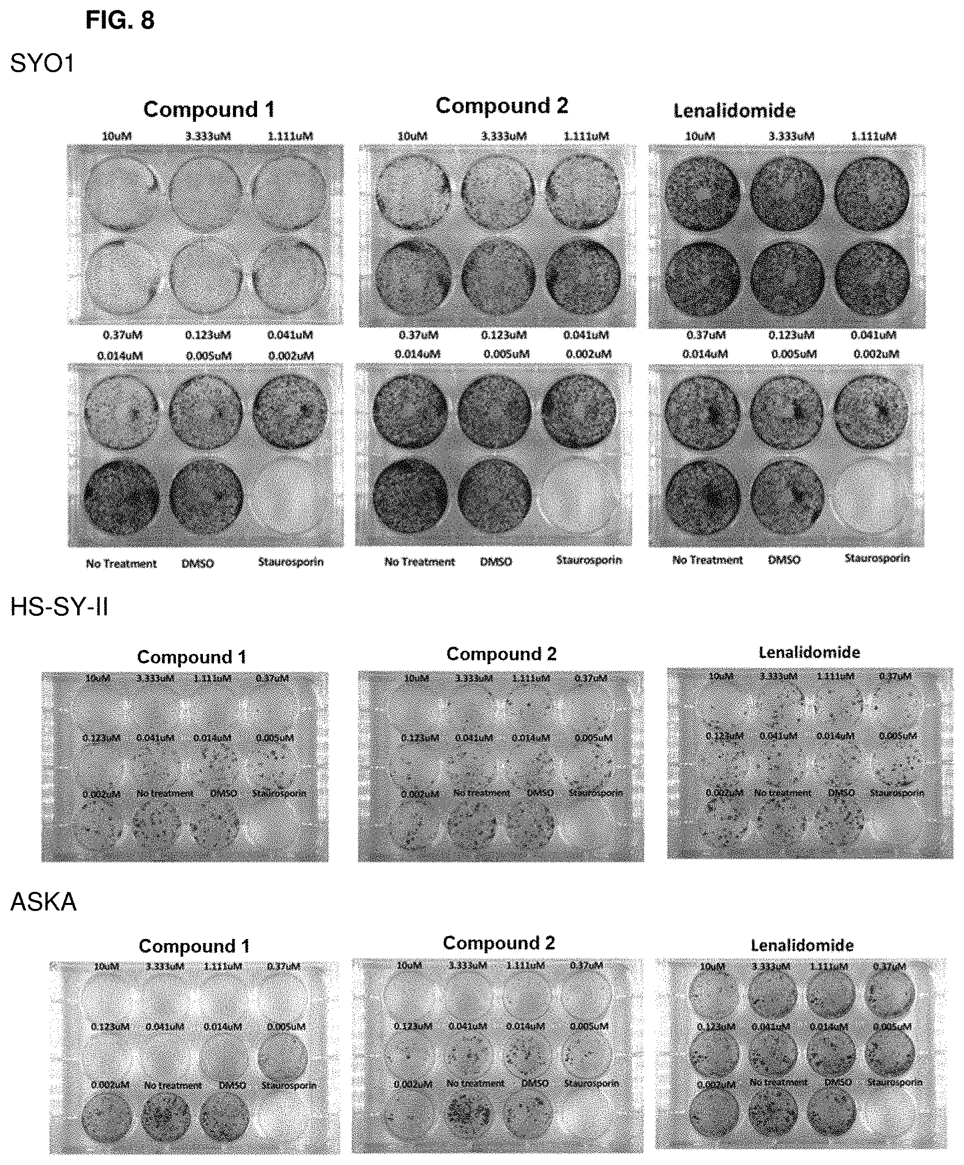 Patent US11787800 Figure 8 – BRD9 degraders and uses thereof
