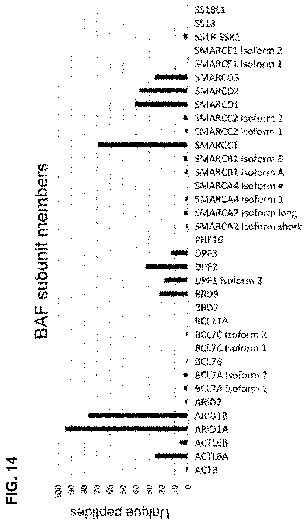 Patent US11787800 Figure 14 – BRD9 degraders and uses thereof