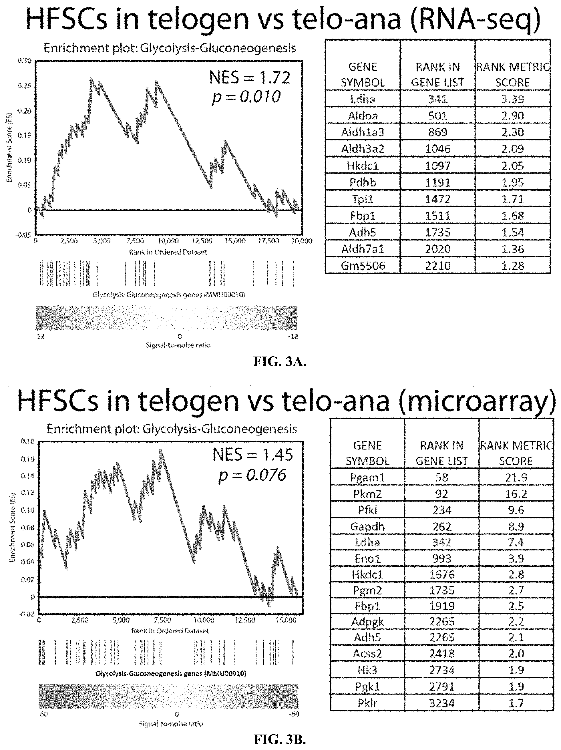Patent US11787804 Figure 4 – Compositions and methods for modulating hair growth
