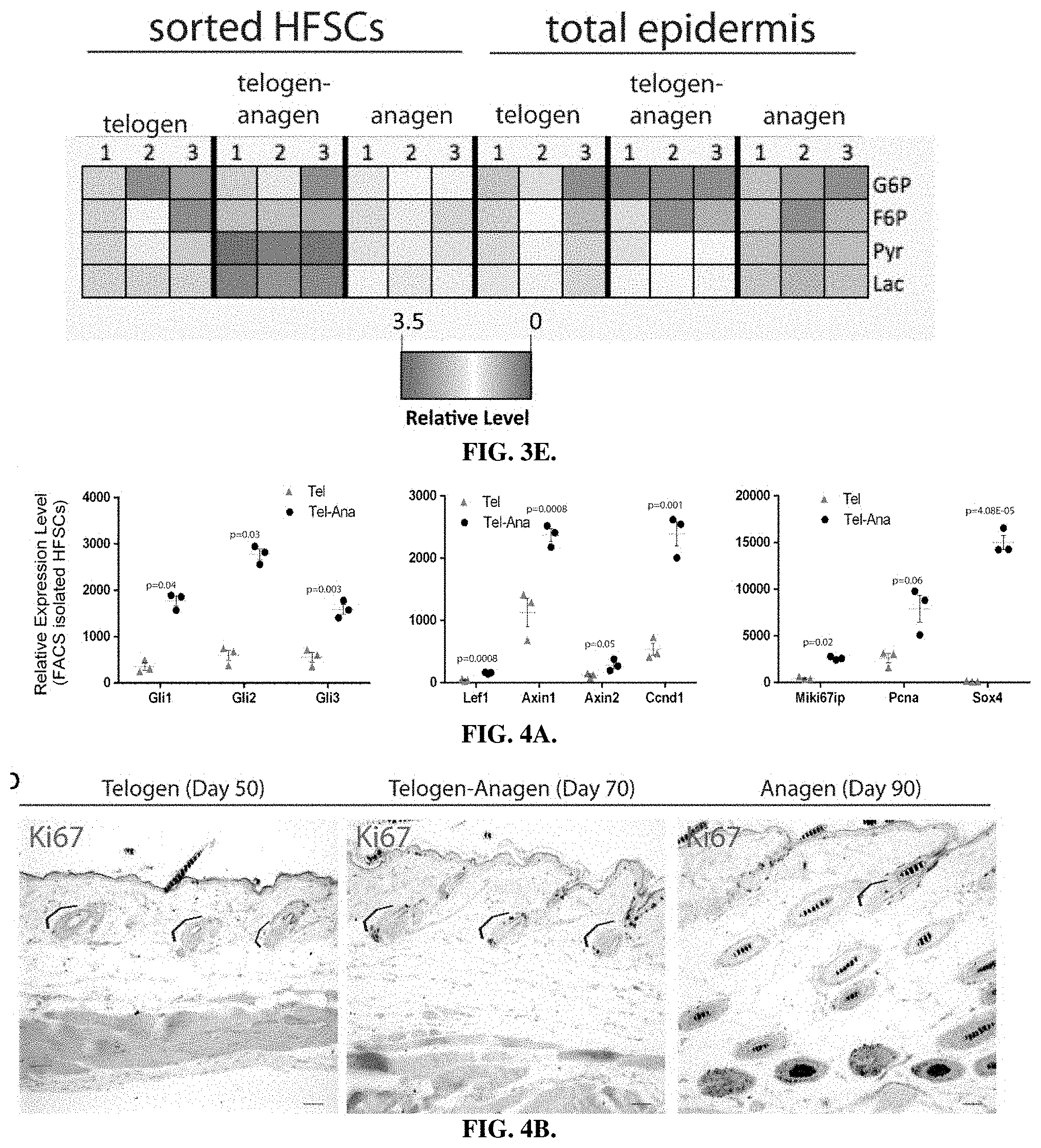 Patent US11787804 Figure 6 – Compositions and methods for modulating hair growth