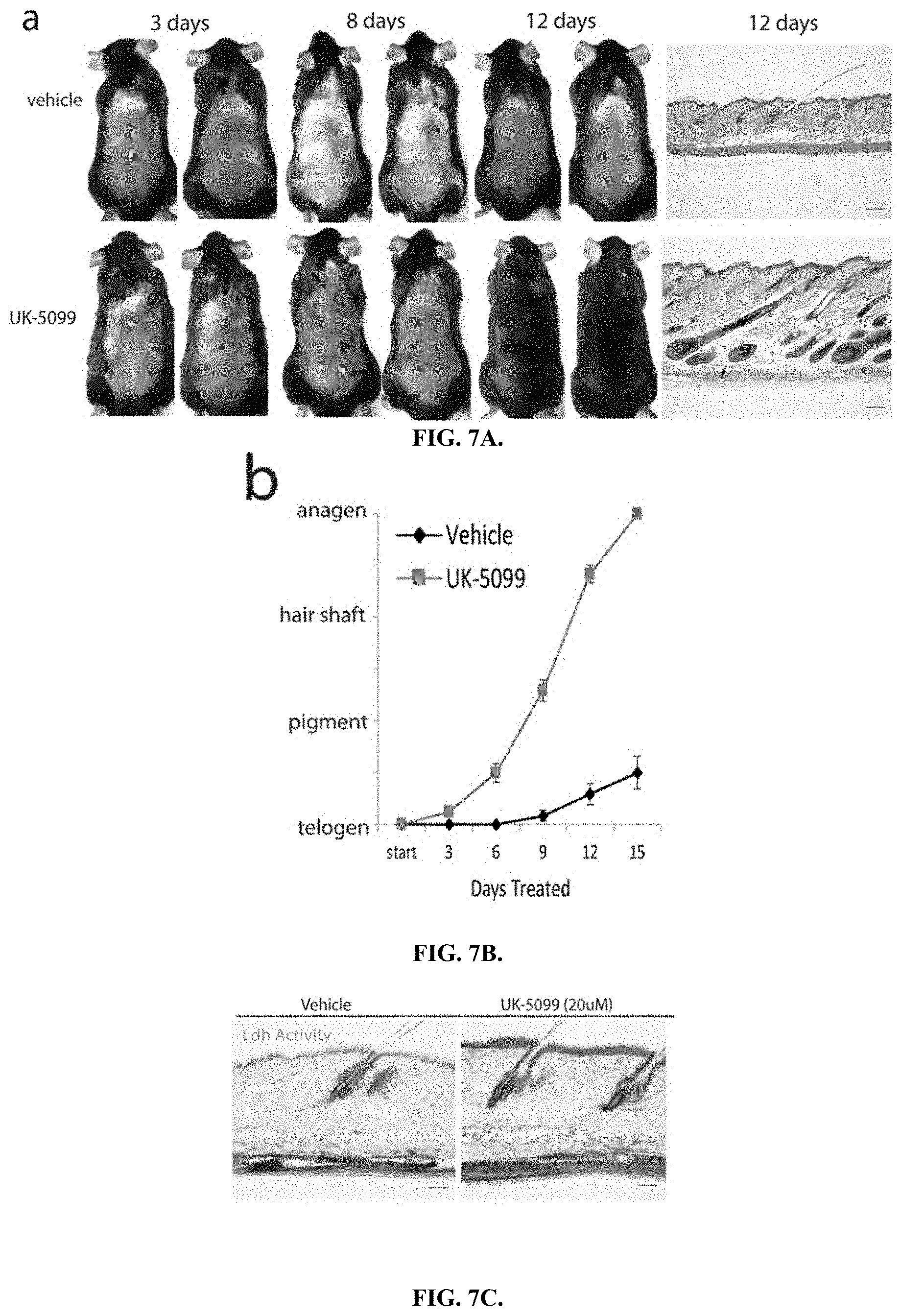 Patent US11787804 Figure 11 – Compositions and methods for modulating hair growth