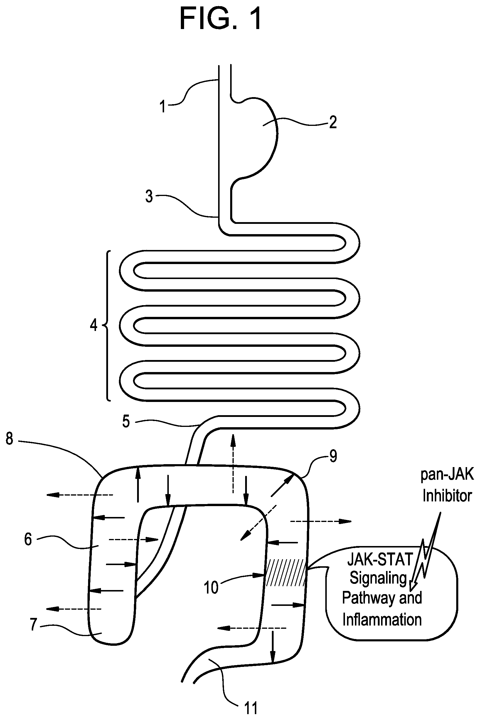 Patent US11787807 Figure 1 – Small molecule inhibitors of the JAK family of kinases