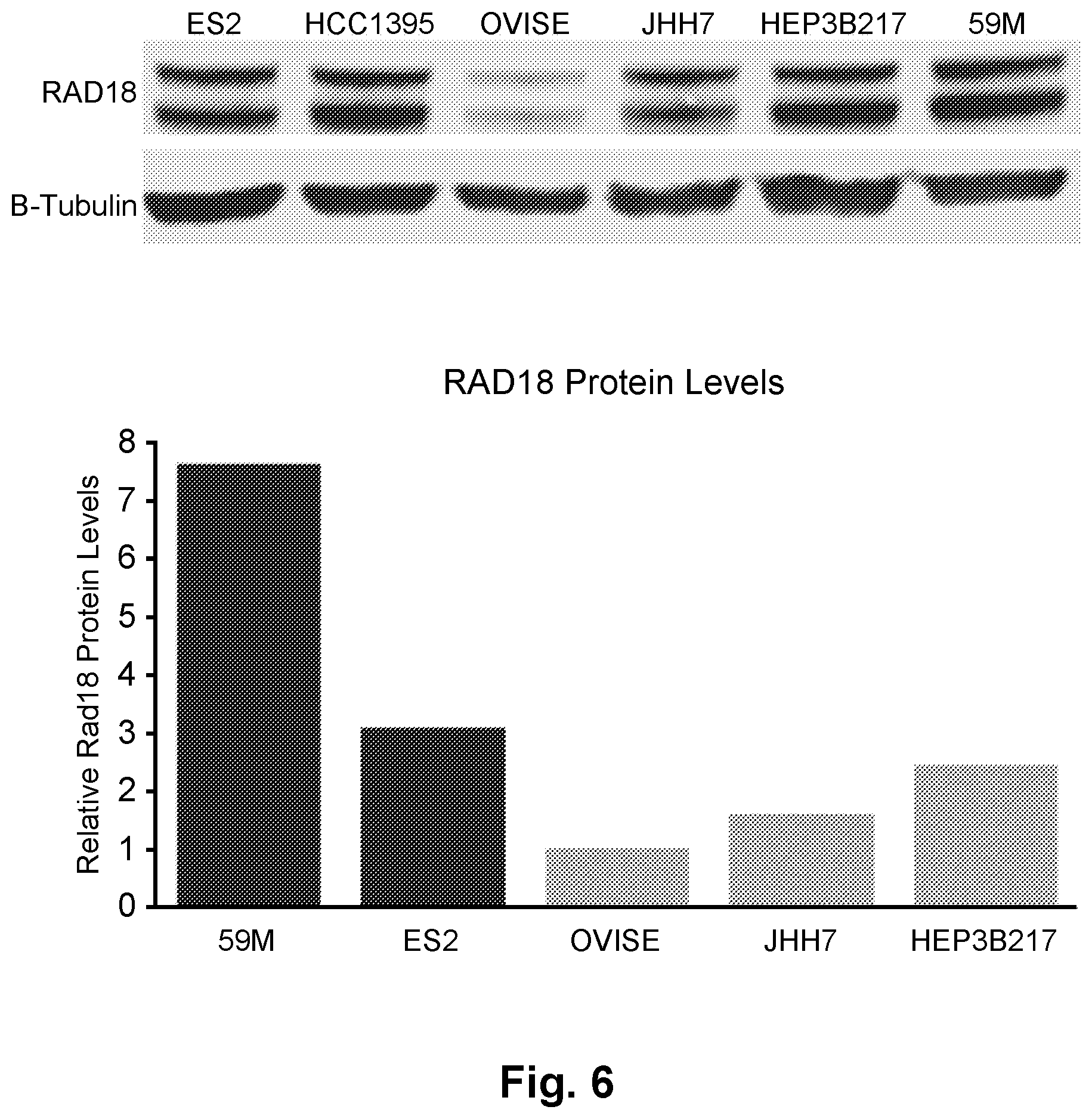 Patent US11787813 Figure 6 – Substituted pyrazolopyrimidines and substituted purines and their use as ubiquitin-specific-processing protease 1 (USP1) inhibitors