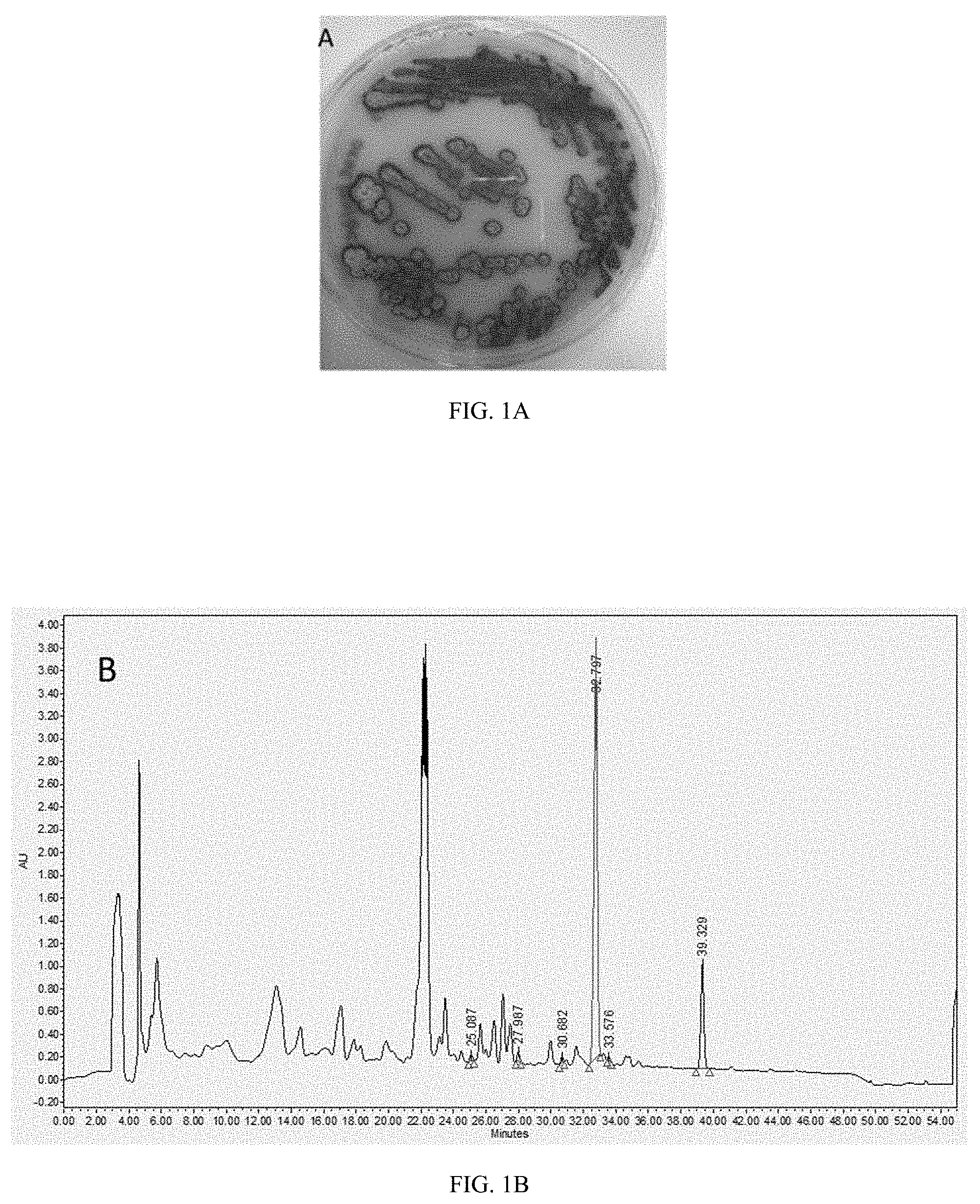Patent US11787817 Figure 1 – Albofungin and its derivatives specifically recognize HIV-1 LTR-III G-quadruplex