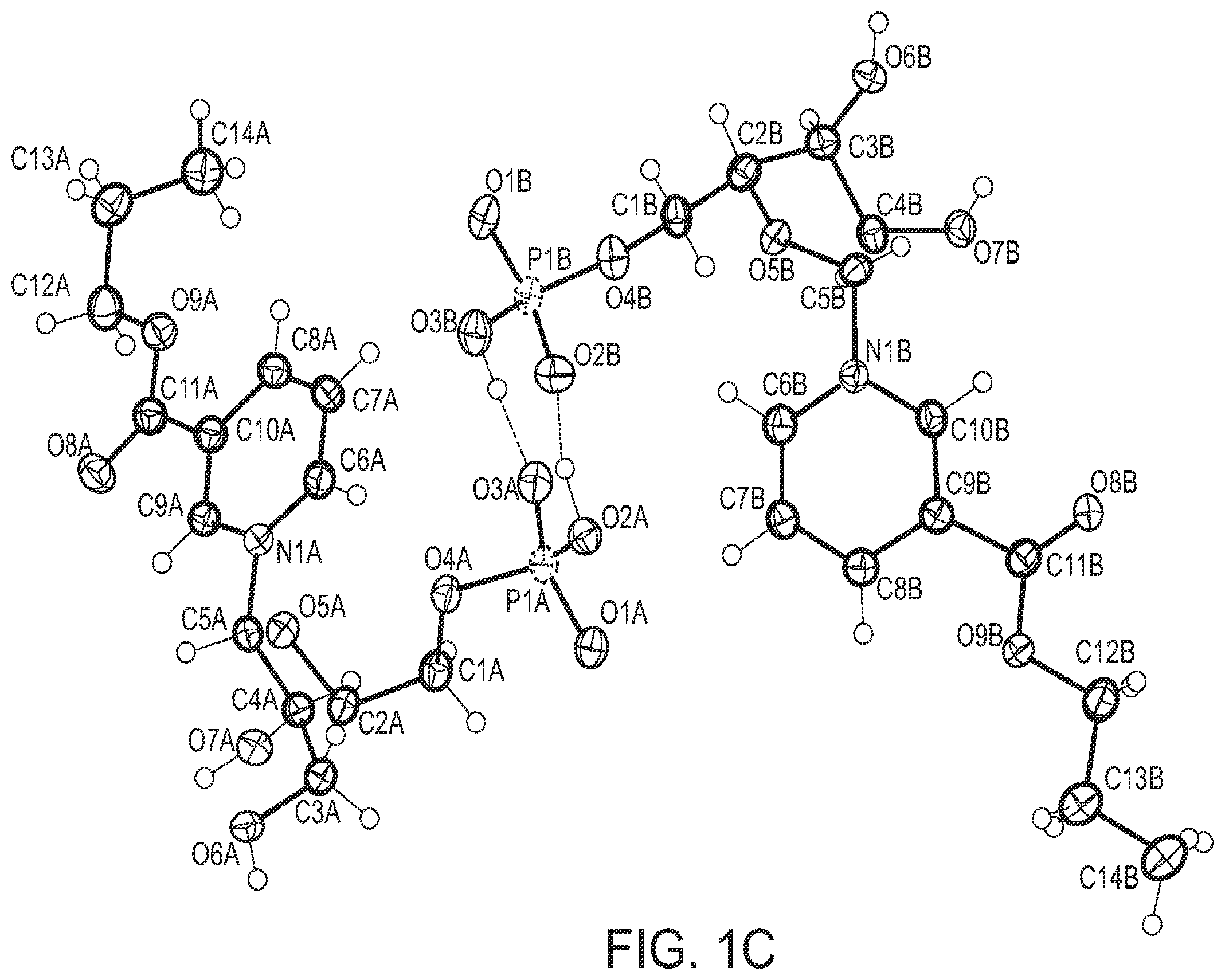 Patent US11787830 Figure 2 – Crystalline solids of nicotinic acid mononucleotide and esters thereof and methods of making and use