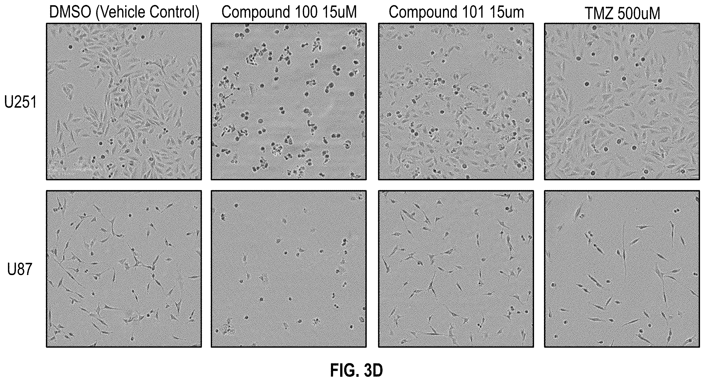 Patent US11787835 Figure 10 – C19 scaffolds and steroids and methods of use and manufacture thereof