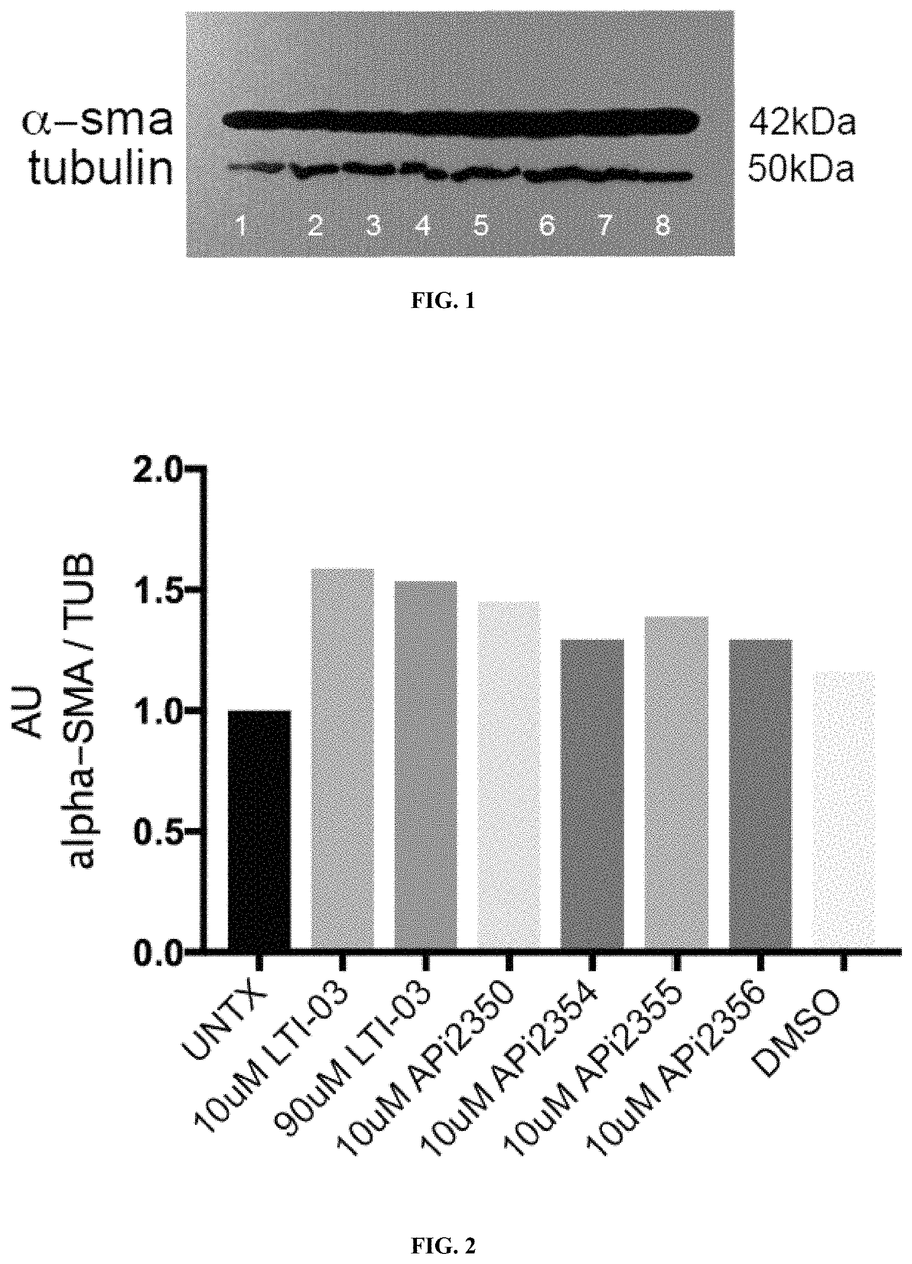 Patent US11787838 Figure 1 – Modified peptide fragments of CAV-1 protein and the use thereof in the treatment of fibrosis