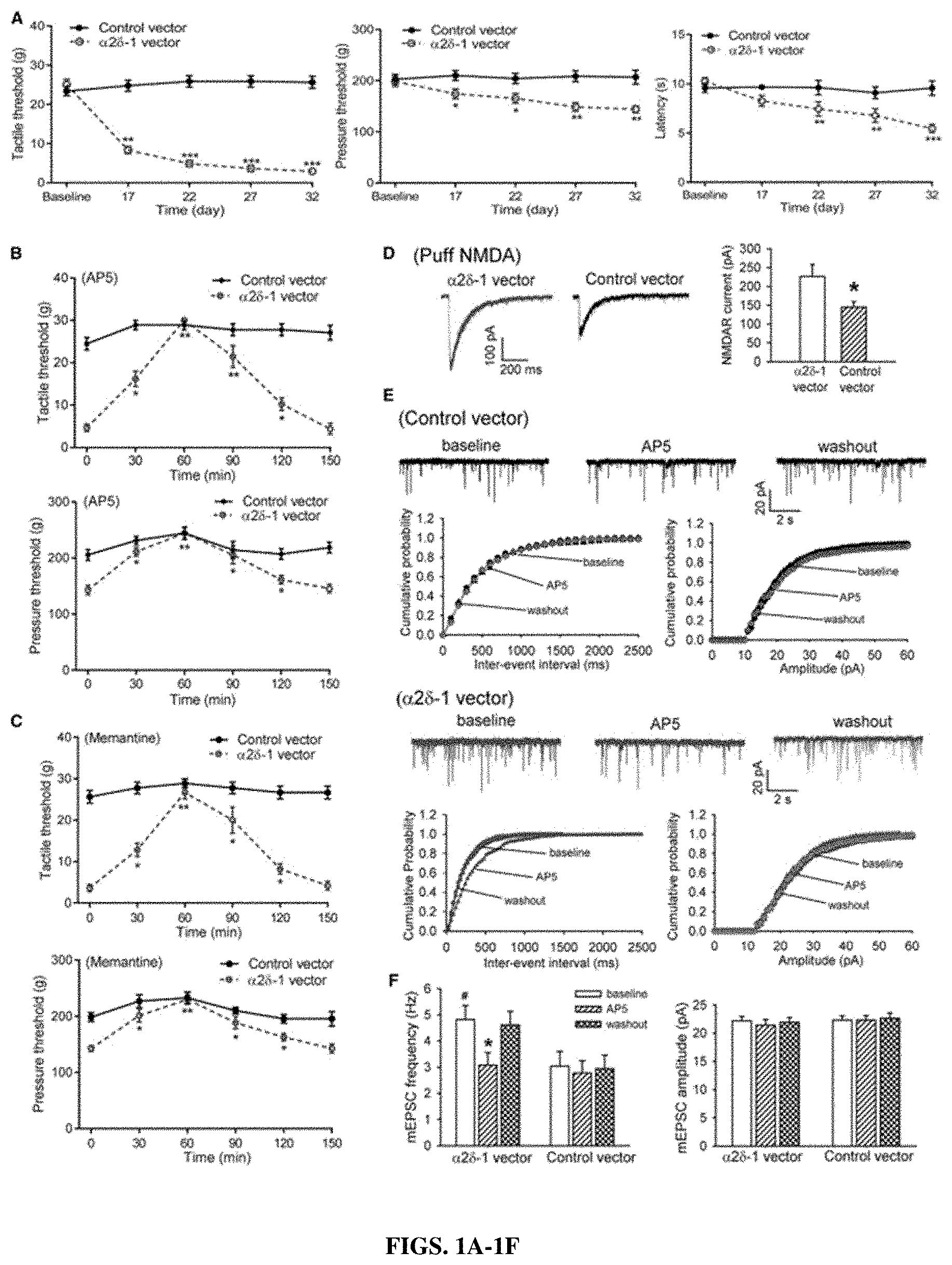 Patent US11787839 Figure 1 – Targeting α2δ-1-bound glutamate receptors for treating diseases and disorders