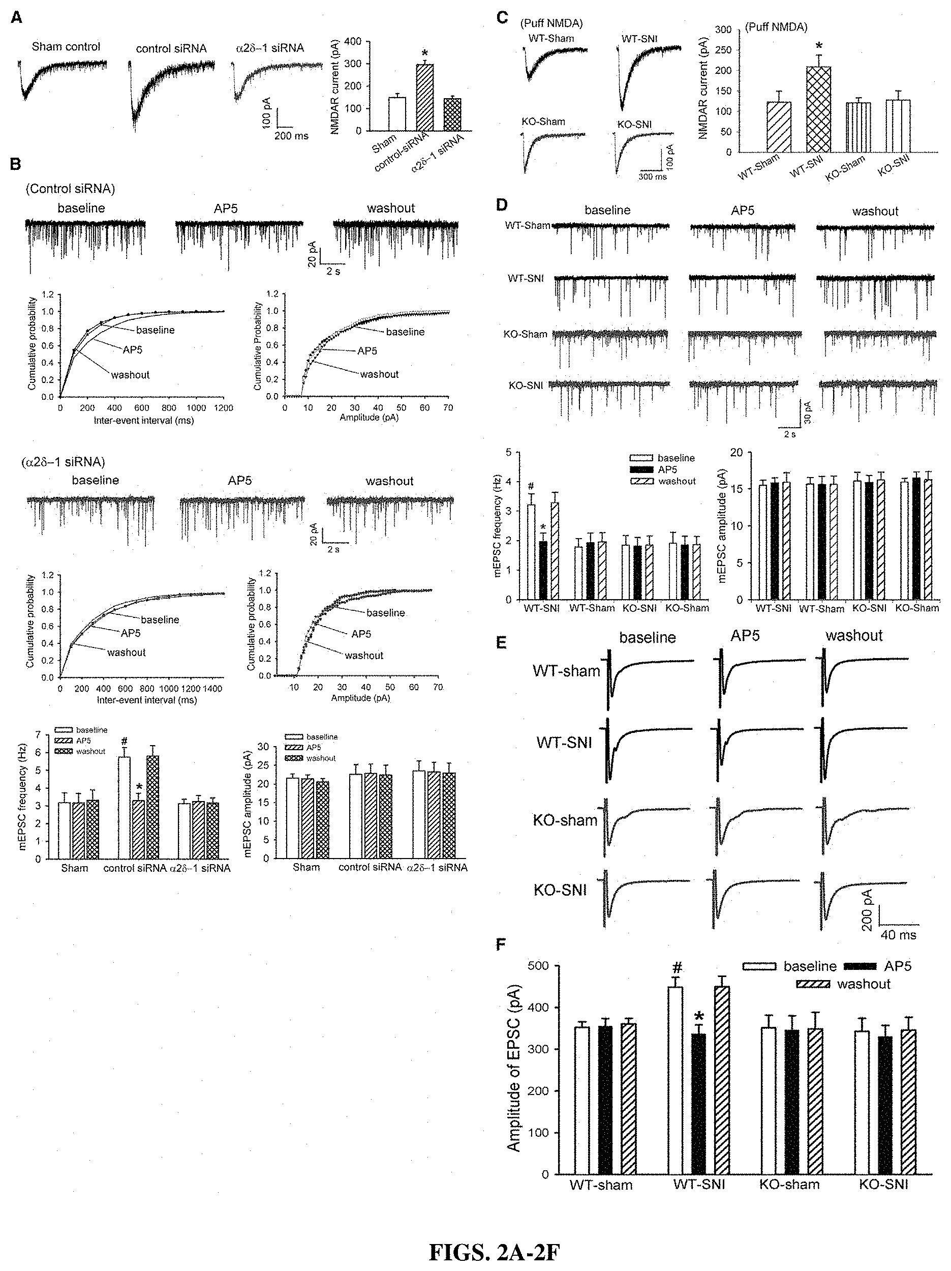 Patent US11787839 Figure 2 – Targeting α2δ-1-bound glutamate receptors for treating diseases and disorders
