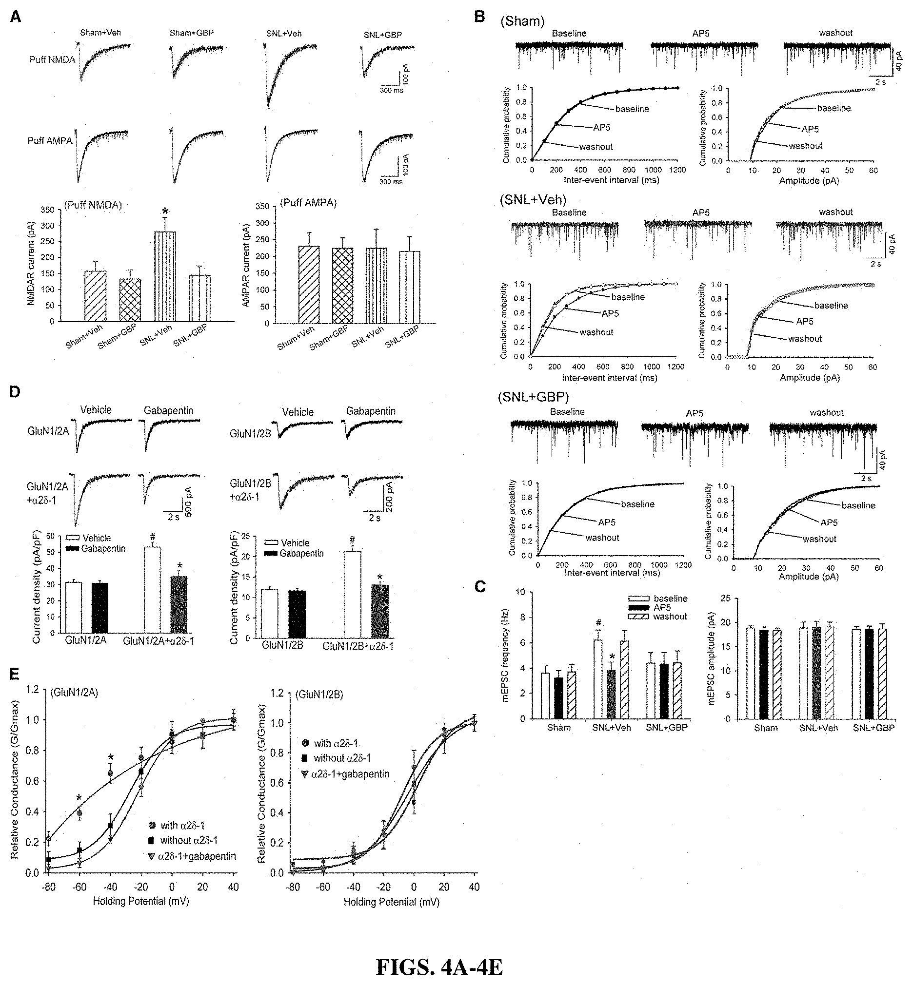 Patent US11787839 Figure 4 – Targeting α2δ-1-bound glutamate receptors for treating diseases and disorders