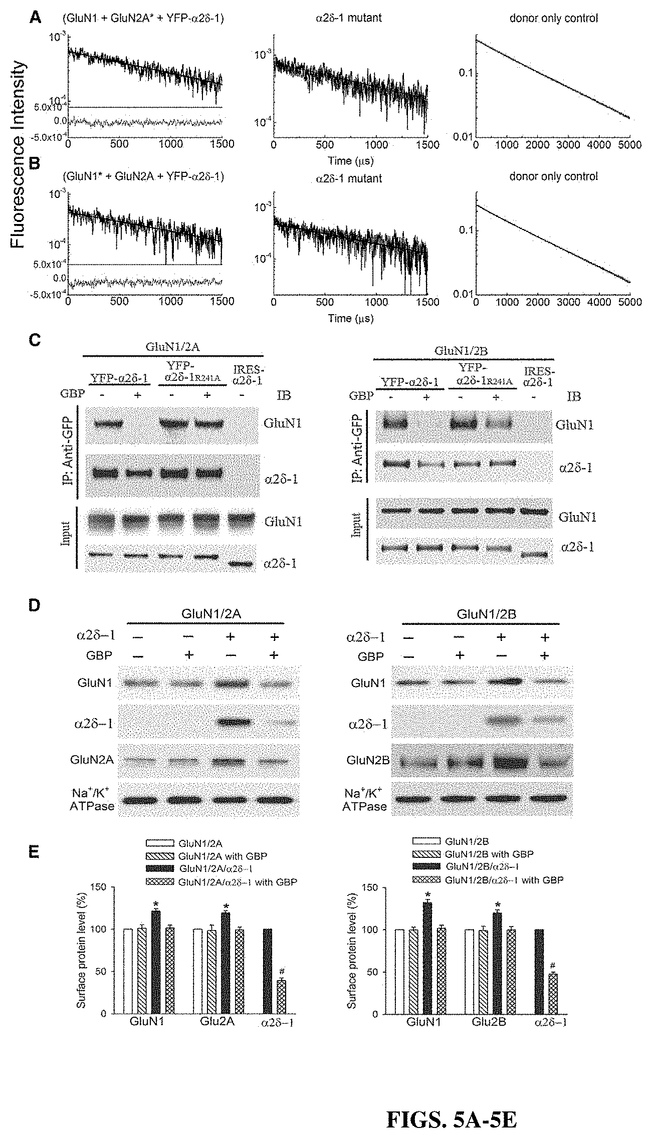 Patent US11787839 Figure 5 – Targeting α2δ-1-bound glutamate receptors for treating diseases and disorders