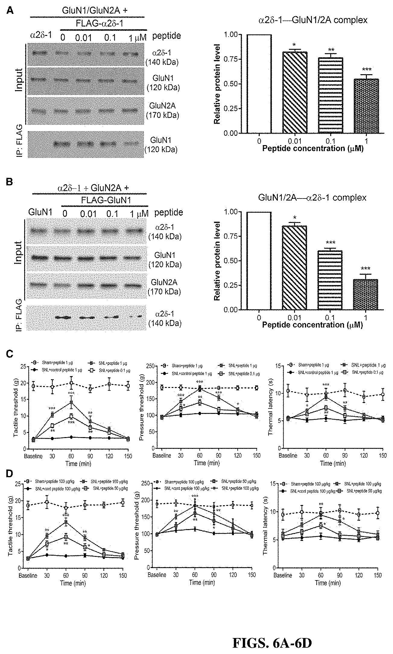 Patent US11787839 Figure 6 – Targeting α2δ-1-bound glutamate receptors for treating diseases and disorders