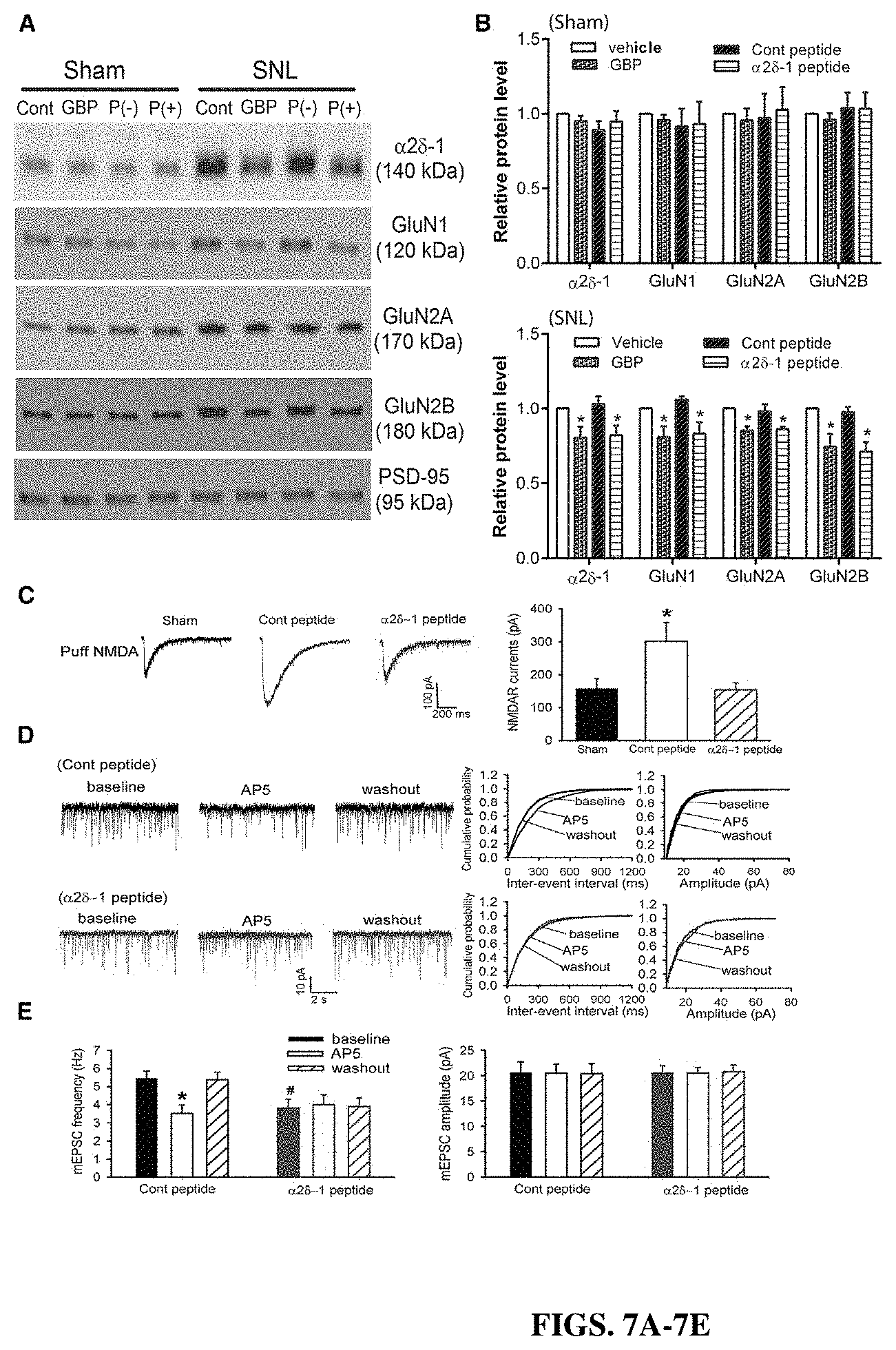Patent US11787839 Figure 7 – Targeting α2δ-1-bound glutamate receptors for treating diseases and disorders