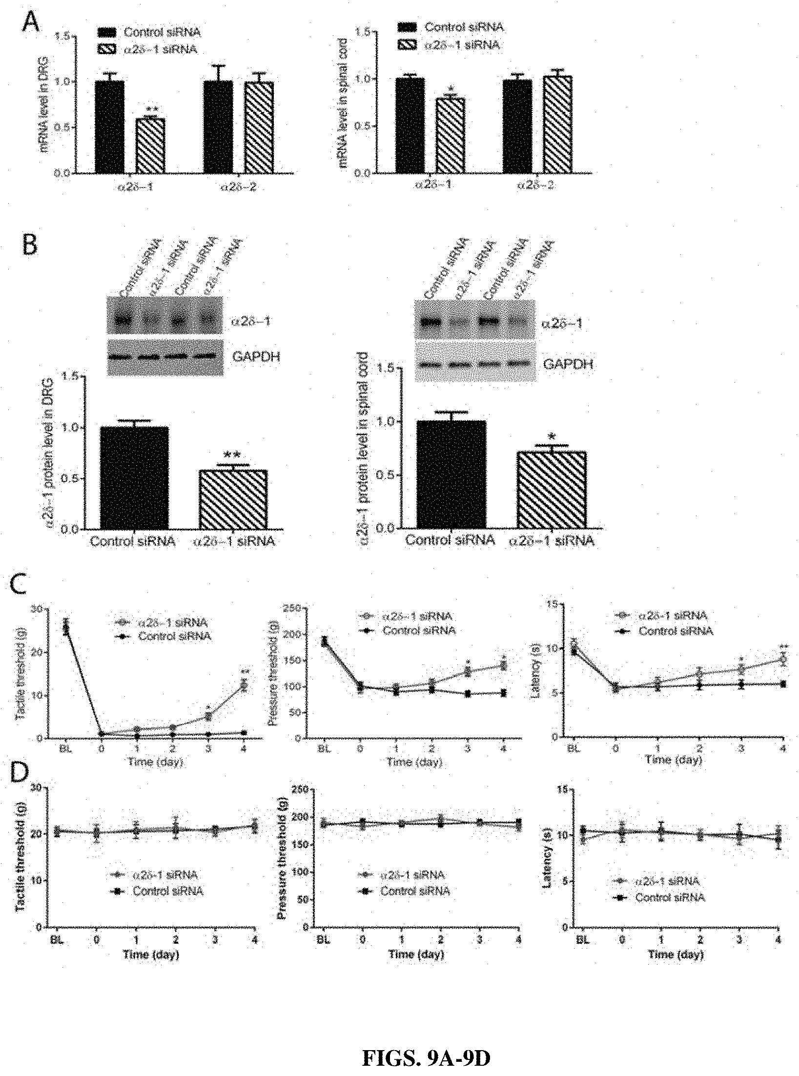 Patent US11787839 Figure 9 – Targeting α2δ-1-bound glutamate receptors for treating diseases and disorders