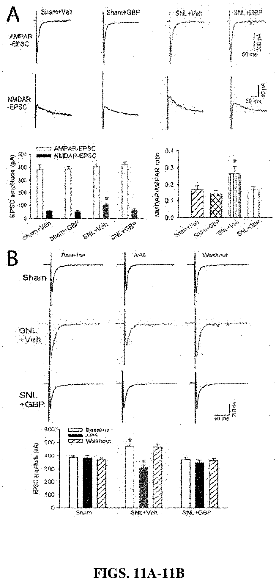Patent US11787839 Figure 11 – Targeting α2δ-1-bound glutamate receptors for treating diseases and disorders