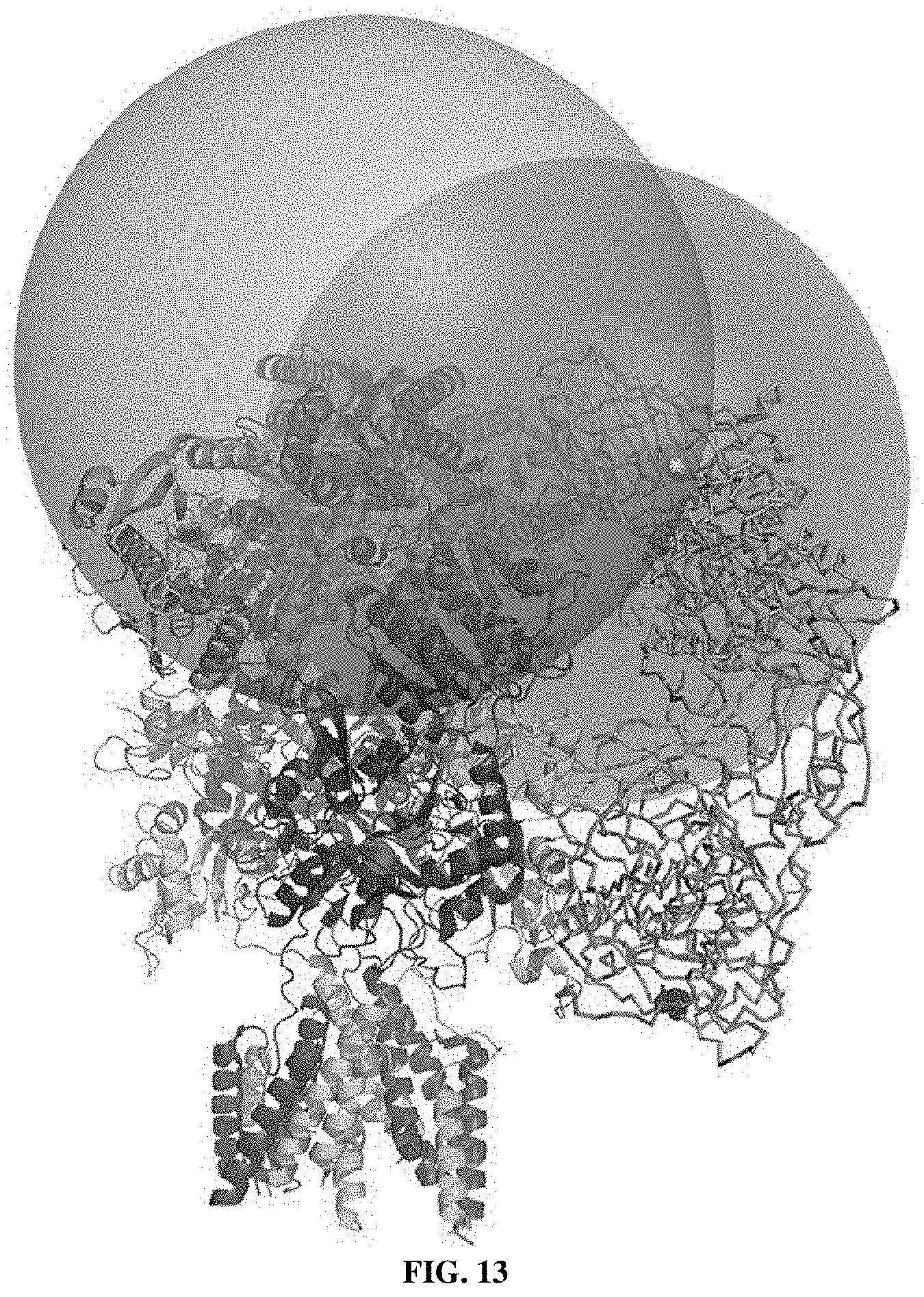 Patent US11787839 Figure 13 – Targeting α2δ-1-bound glutamate receptors for treating diseases and disorders