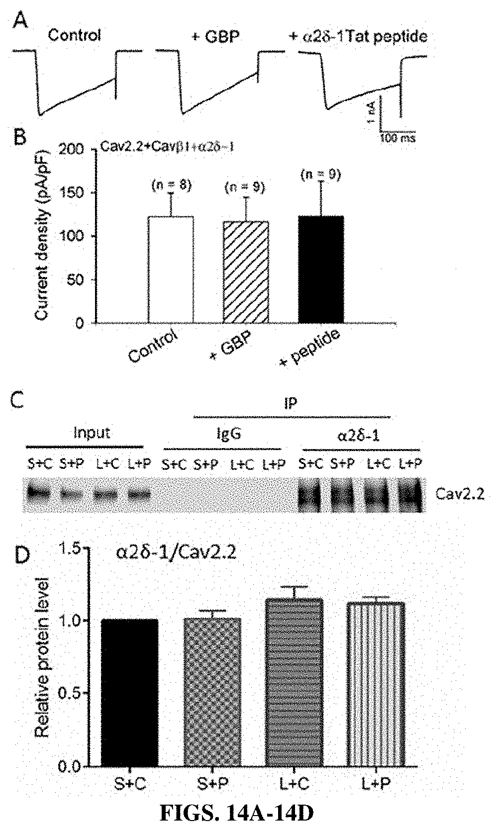 Patent US11787839 Figure 14 – Targeting α2δ-1-bound glutamate receptors for treating diseases and disorders