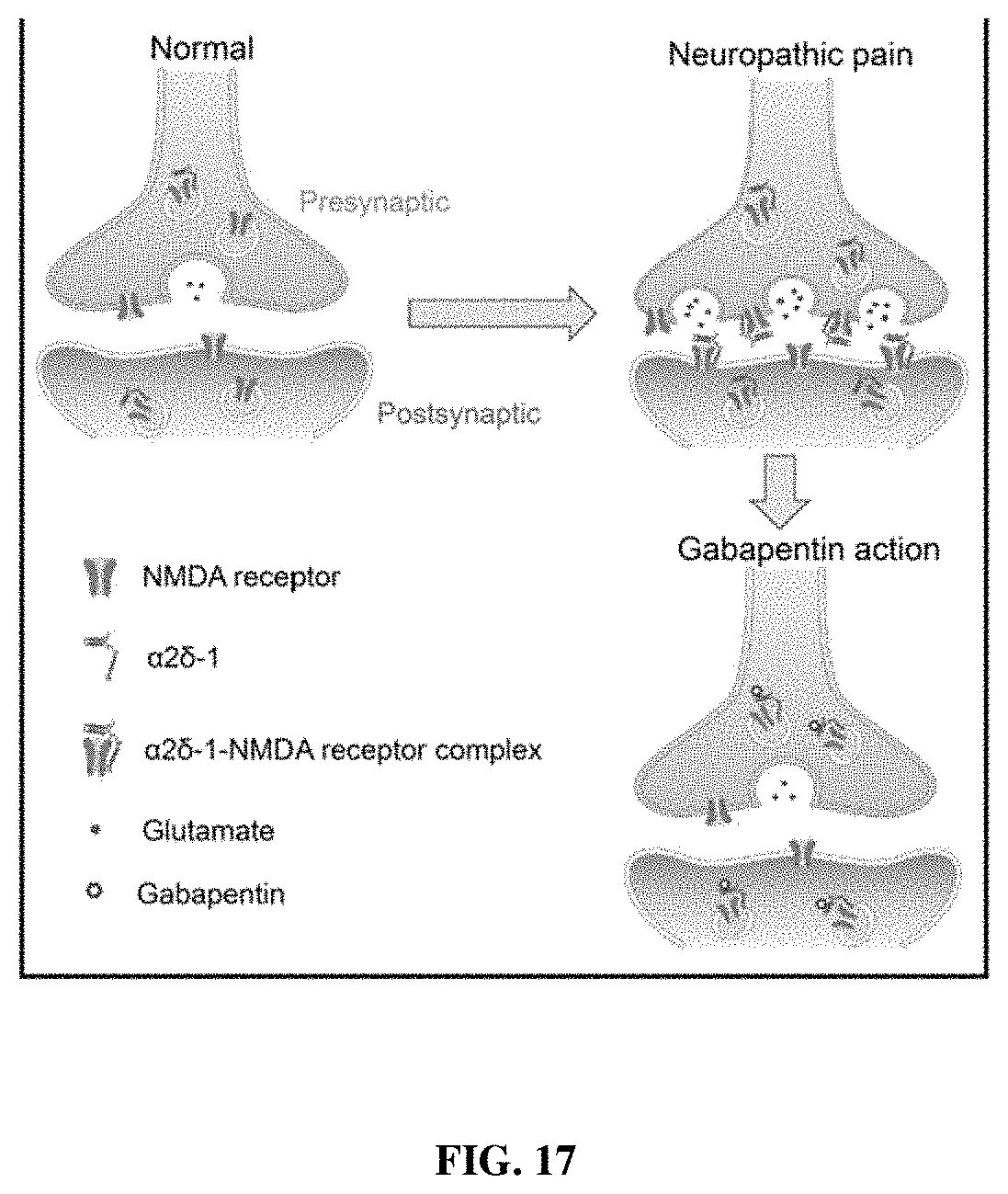 Patent US11787839 Figure 17 – Targeting α2δ-1-bound glutamate receptors for treating diseases and disorders