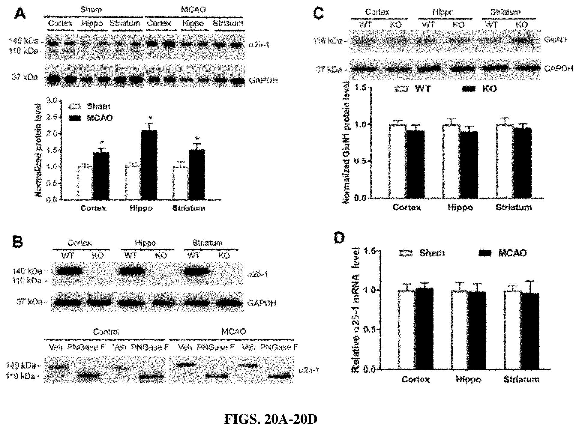 Patent US11787839 Figure 20 – Targeting α2δ-1-bound glutamate receptors for treating diseases and disorders