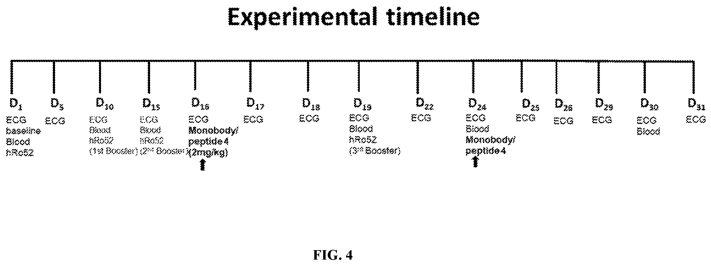 Patent US11787840 Figure 3 – Compositions and methods for treating and preventing autoimmune induced cardiac long QT syndrome