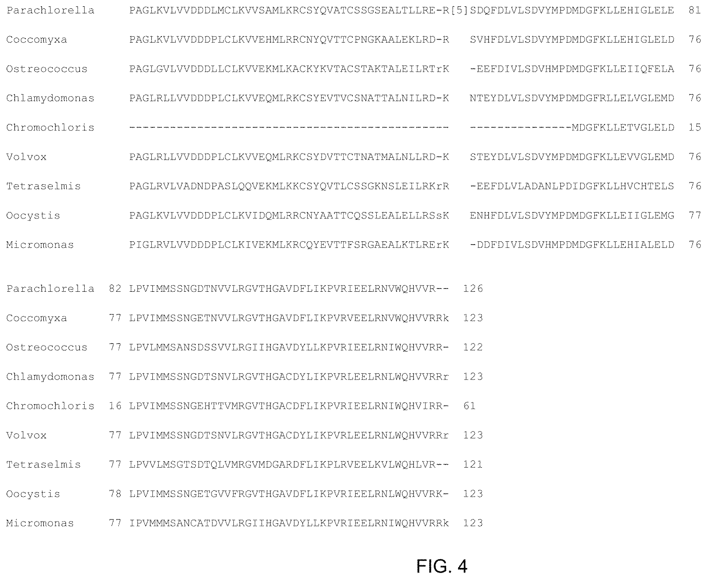 Patent US11787843 Figure 4 – High productivity algal mutants having reduced photosynthetic antenna