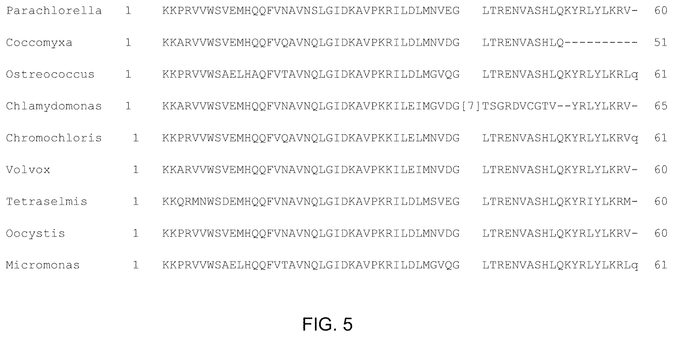Patent US11787843 Figure 5 – High productivity algal mutants having reduced photosynthetic antenna