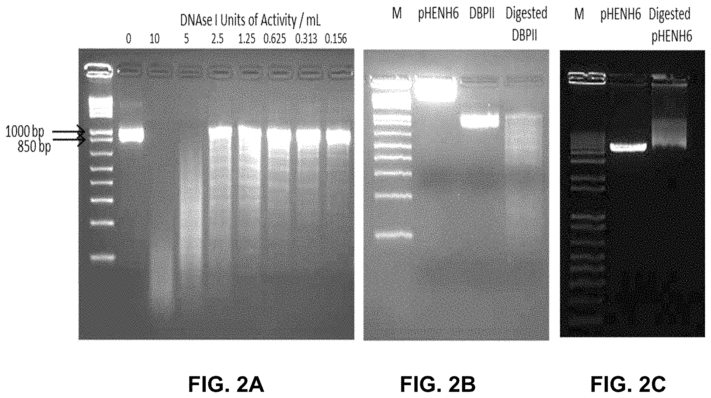 Patent US11787845 Figure 2 – Synthetic plasmodium antigens, compositions, and uses thereof