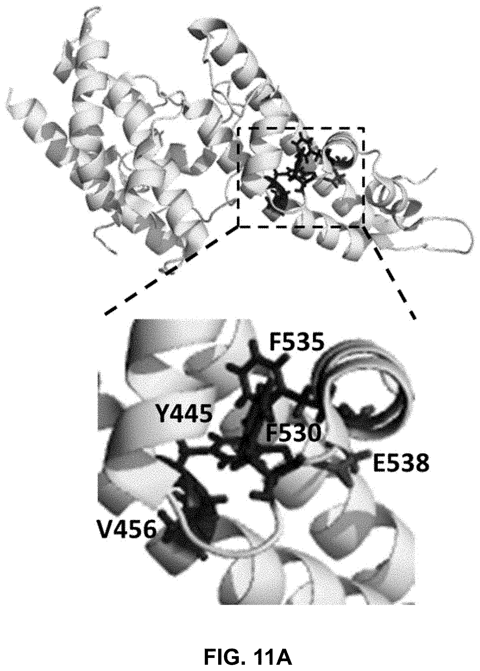 Patent US11787845 Figure 14 – Synthetic plasmodium antigens, compositions, and uses thereof
