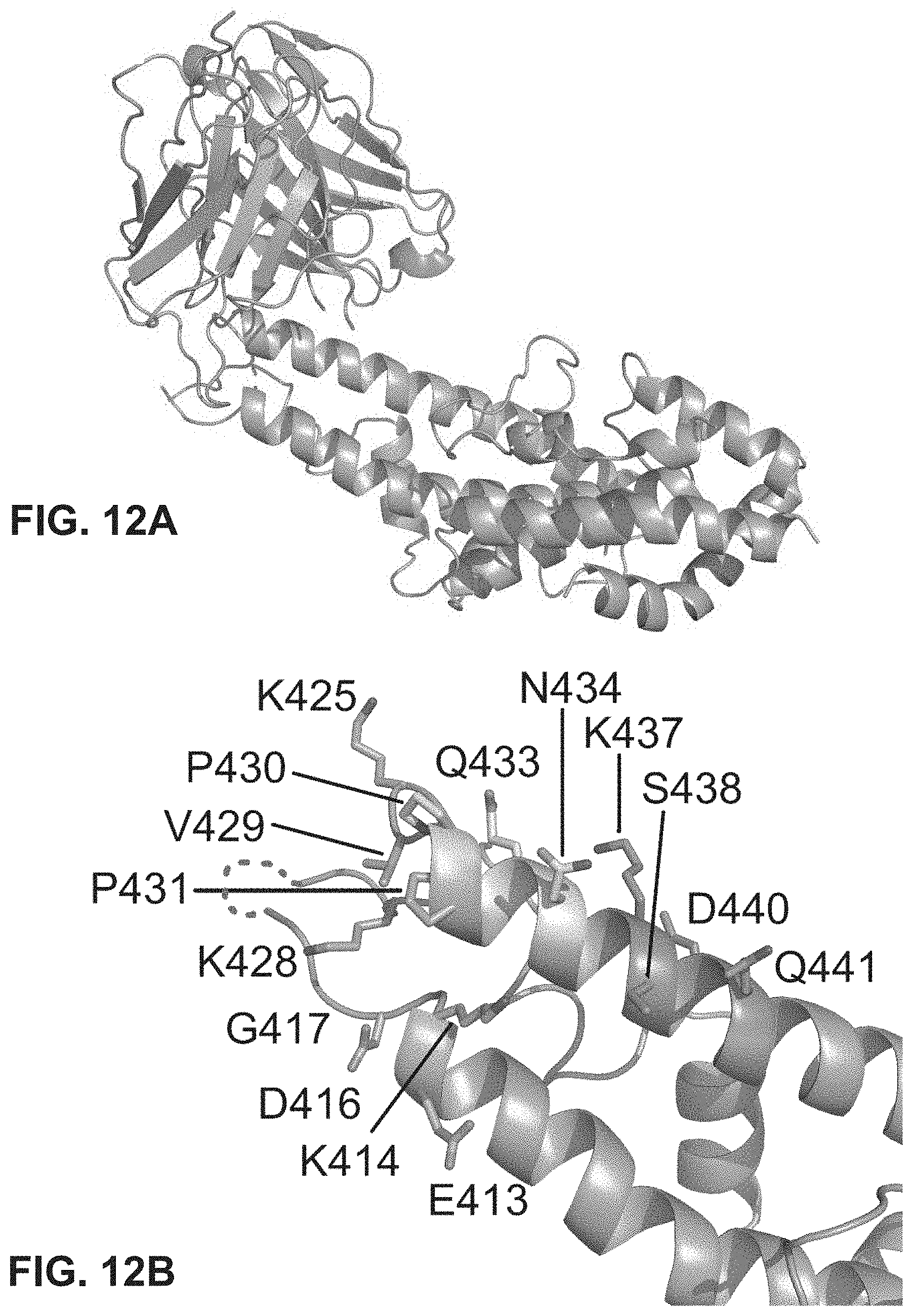 Patent US11787845 Figure 16 – Synthetic plasmodium antigens, compositions, and uses thereof