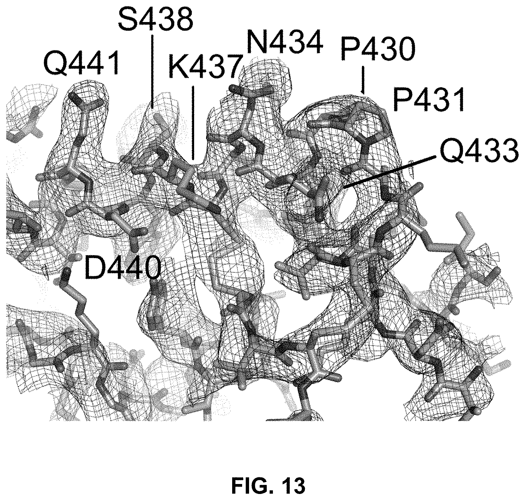 Patent US11787845 Figure 18 – Synthetic plasmodium antigens, compositions, and uses thereof