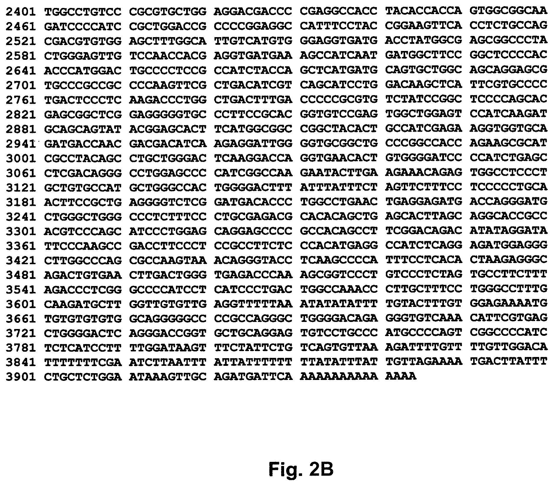 Patent US11787846 Figure 3 – EphA2 T-cell epitope agonists and uses therefore