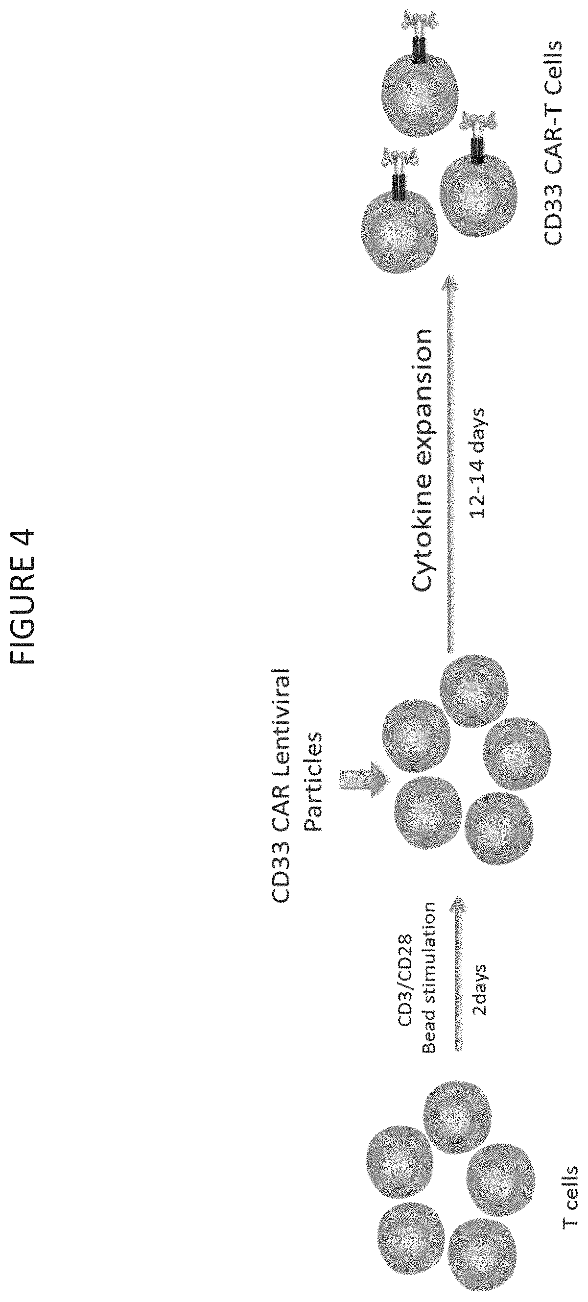 Patent US11787848 Figure 4 – CD33 specific chimeric antigen receptors