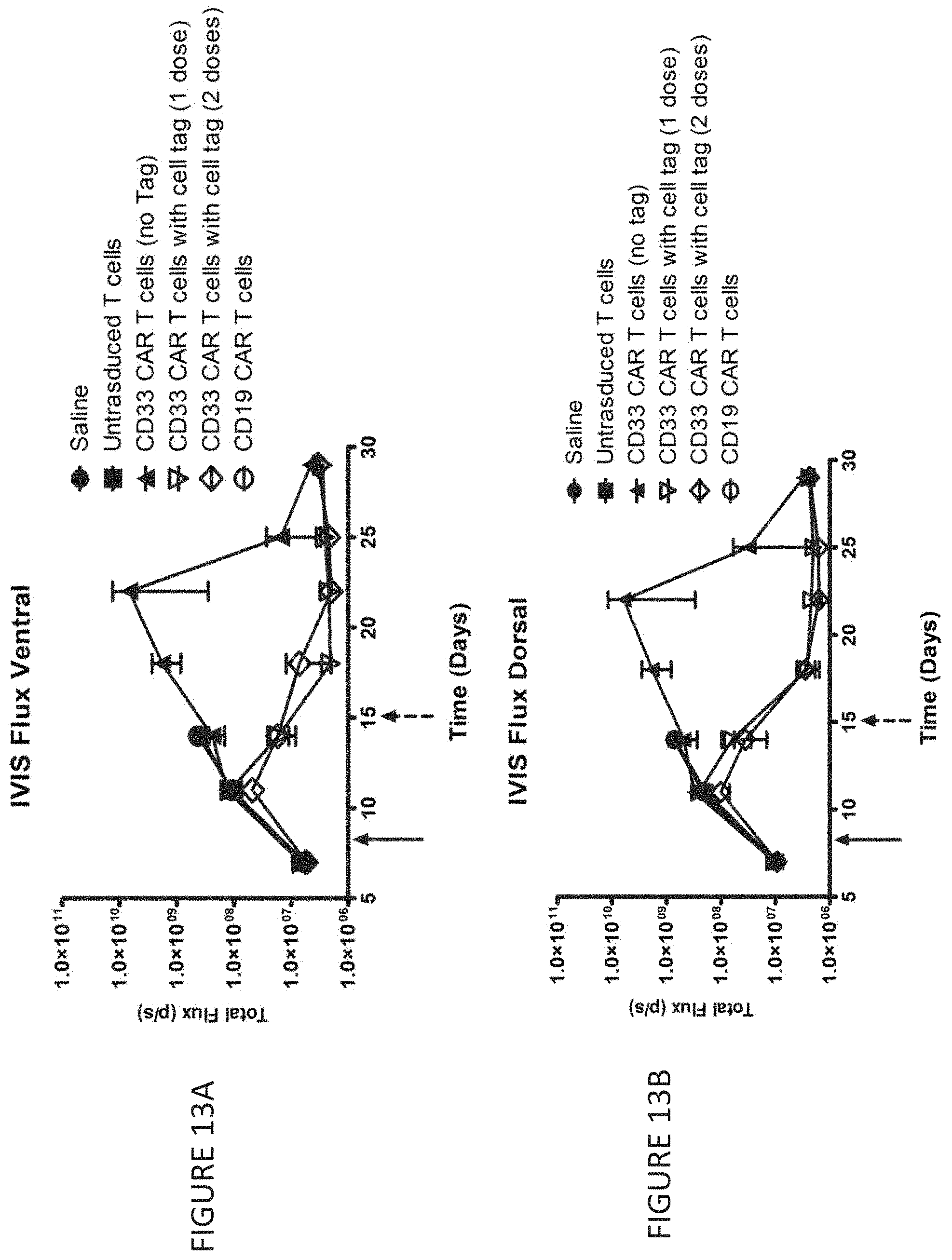Patent US11787848 Figure 16 – CD33 specific chimeric antigen receptors