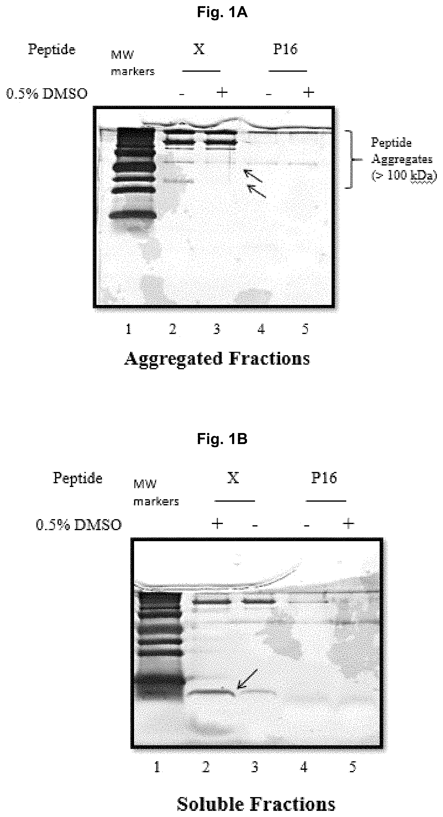 Patent US11787850 Figure 1 – Peptidic TGF-beta antagonists