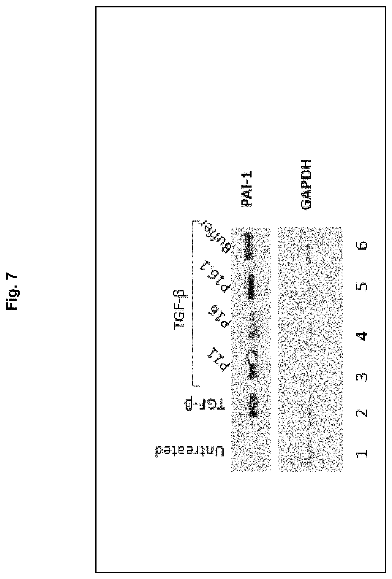 Patent US11787850 Figure 8 – Peptidic TGF-beta antagonists