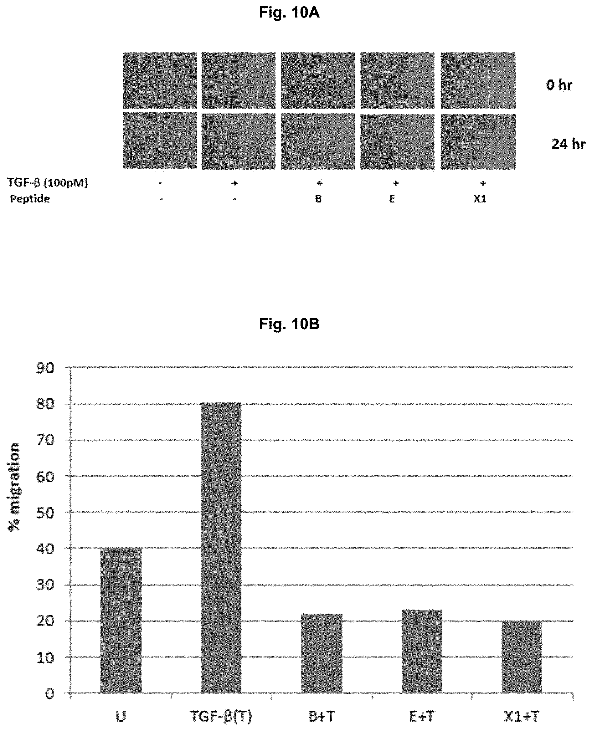 Patent US11787850 Figure 11 – Peptidic TGF-beta antagonists