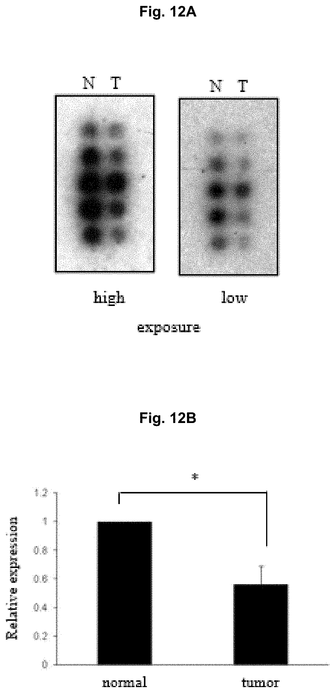 Patent US11787850 Figure 13 – Peptidic TGF-beta antagonists