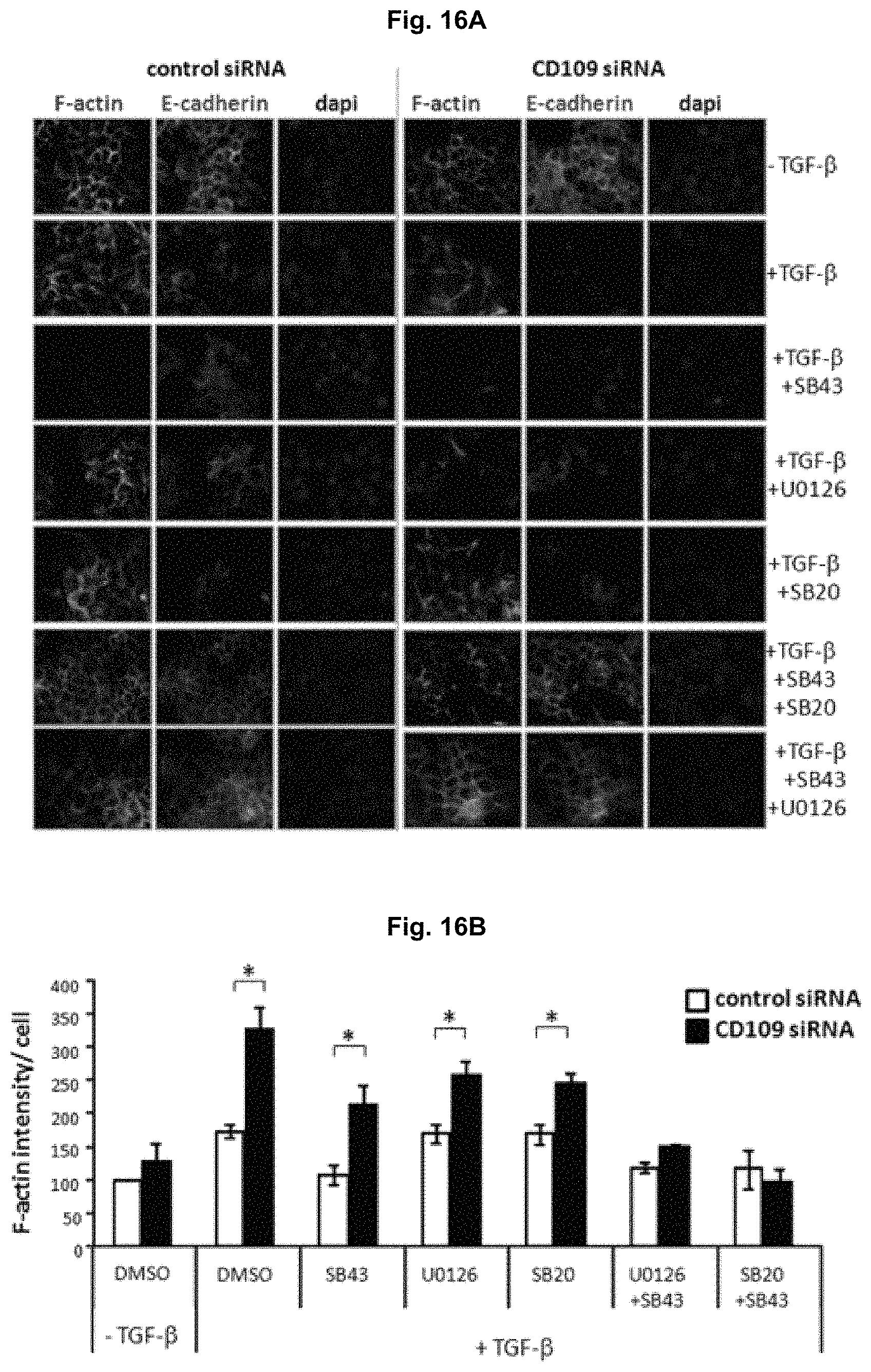 Patent US11787850 Figure 18 – Peptidic TGF-beta antagonists