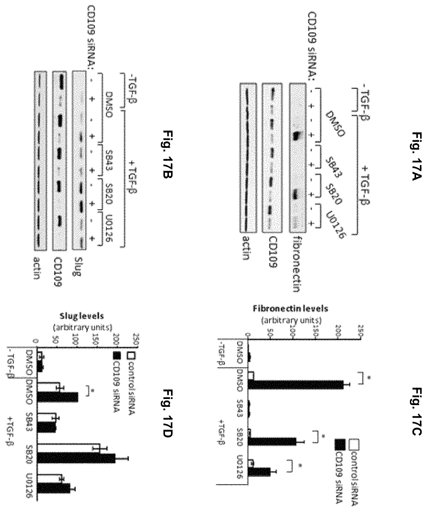 Patent US11787850 Figure 19 – Peptidic TGF-beta antagonists