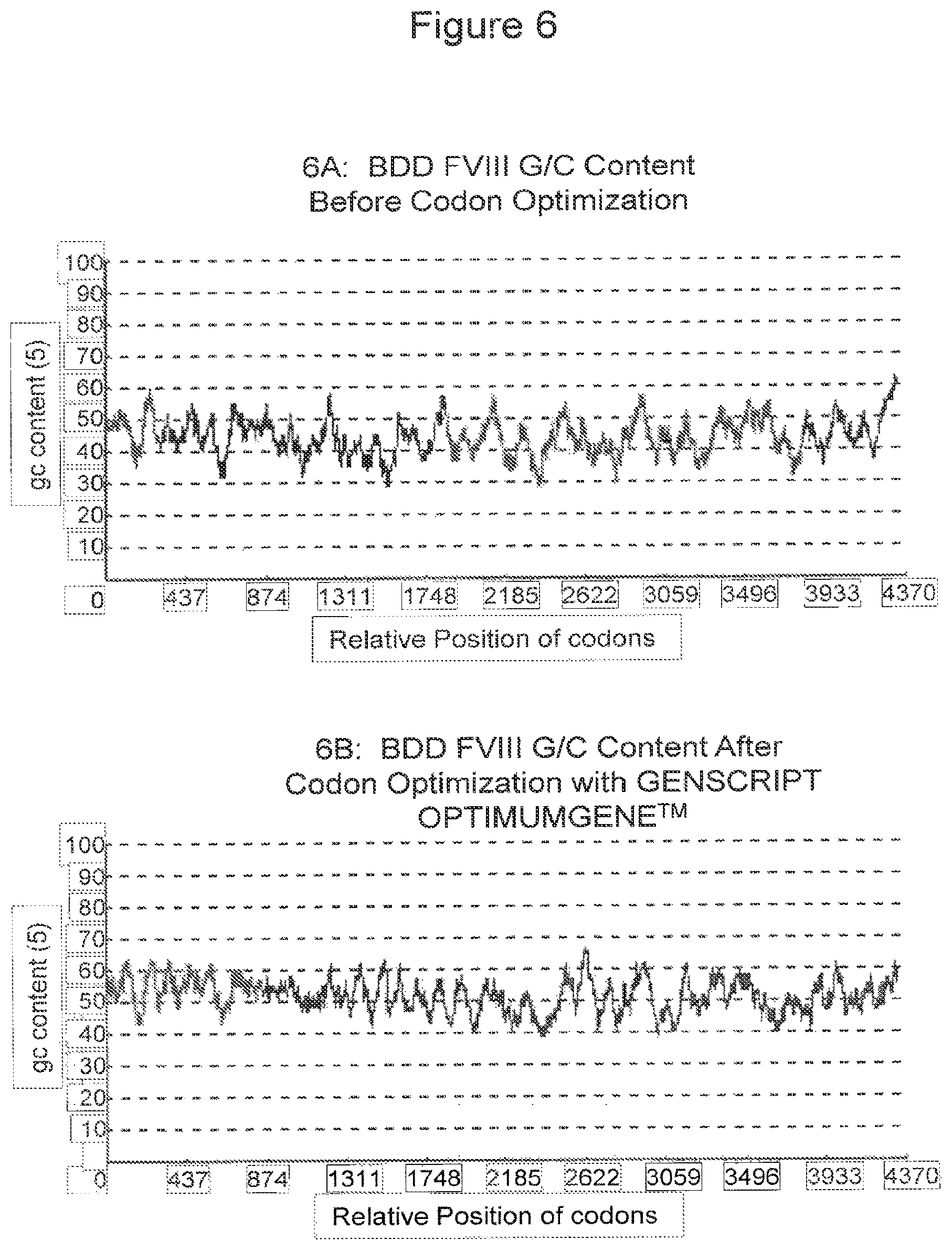 Patent US11787851 Figure 6 – Optimized factor VIII gene