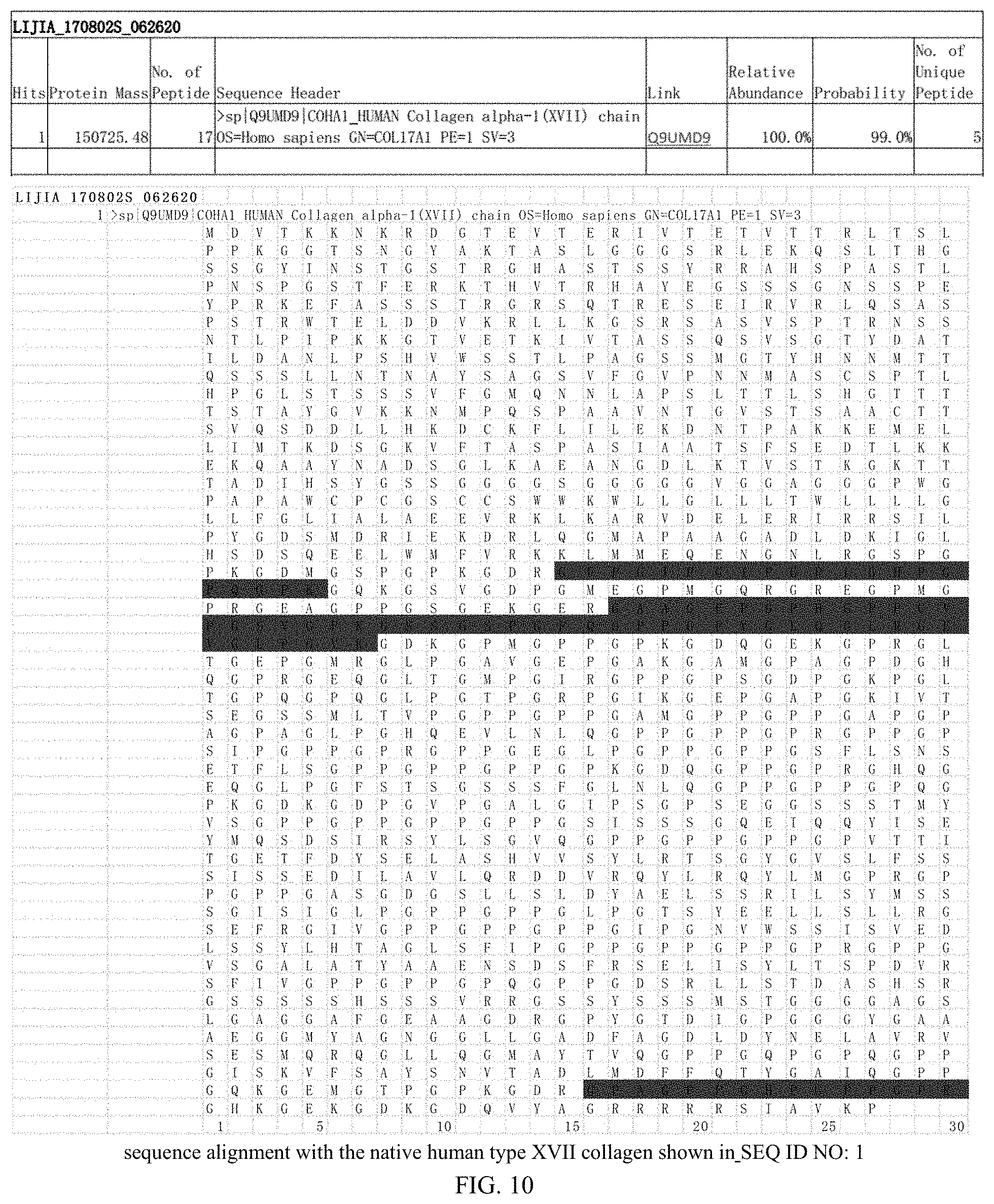 Patent US11787852 Figure 6 – Recombinant human type XVII collagen, and preparation method and use thereof