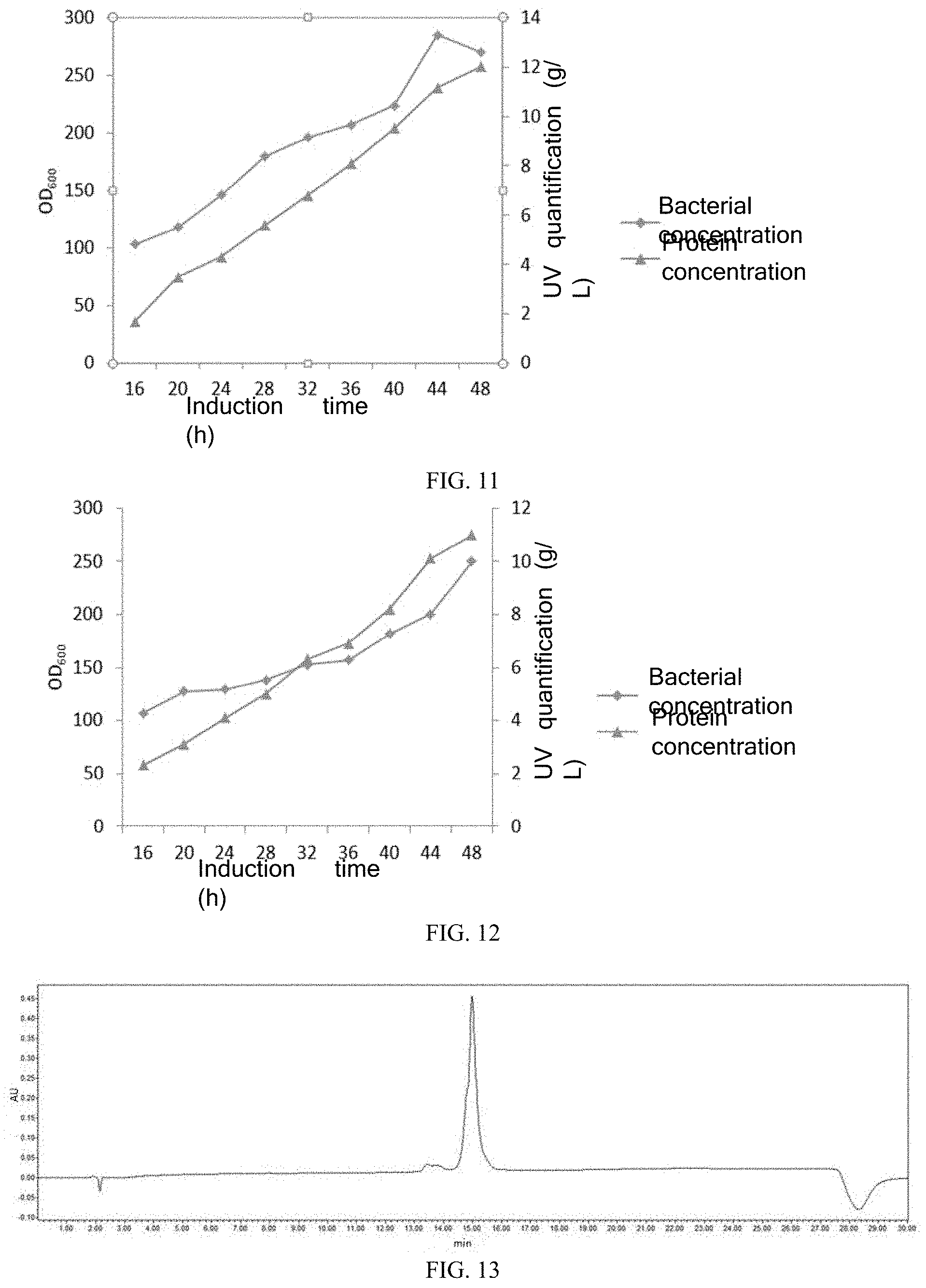 Patent US11787852 Figure 7 – Recombinant human type XVII collagen, and preparation method and use thereof