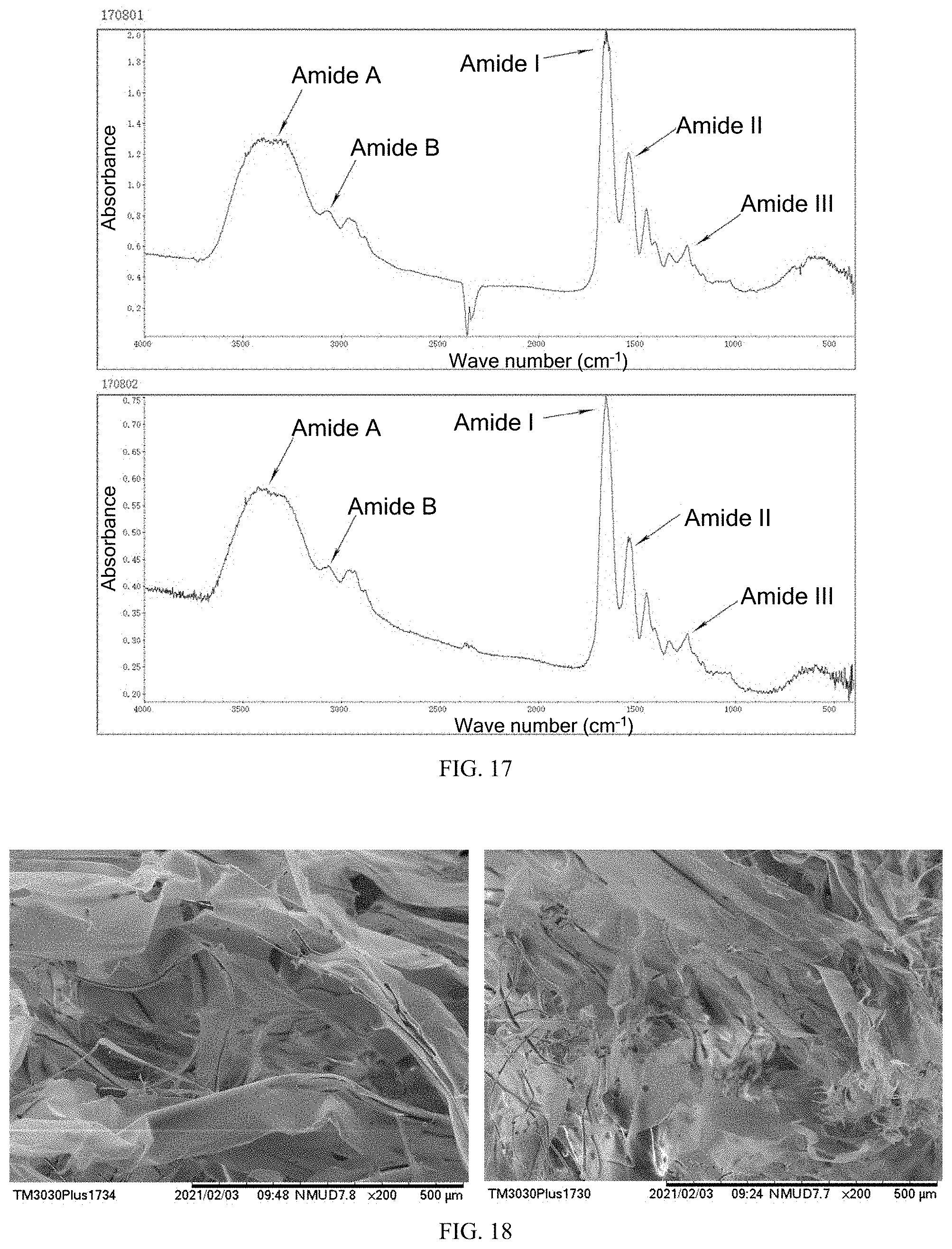 Patent US11787852 Figure 9 – Recombinant human type XVII collagen, and preparation method and use thereof