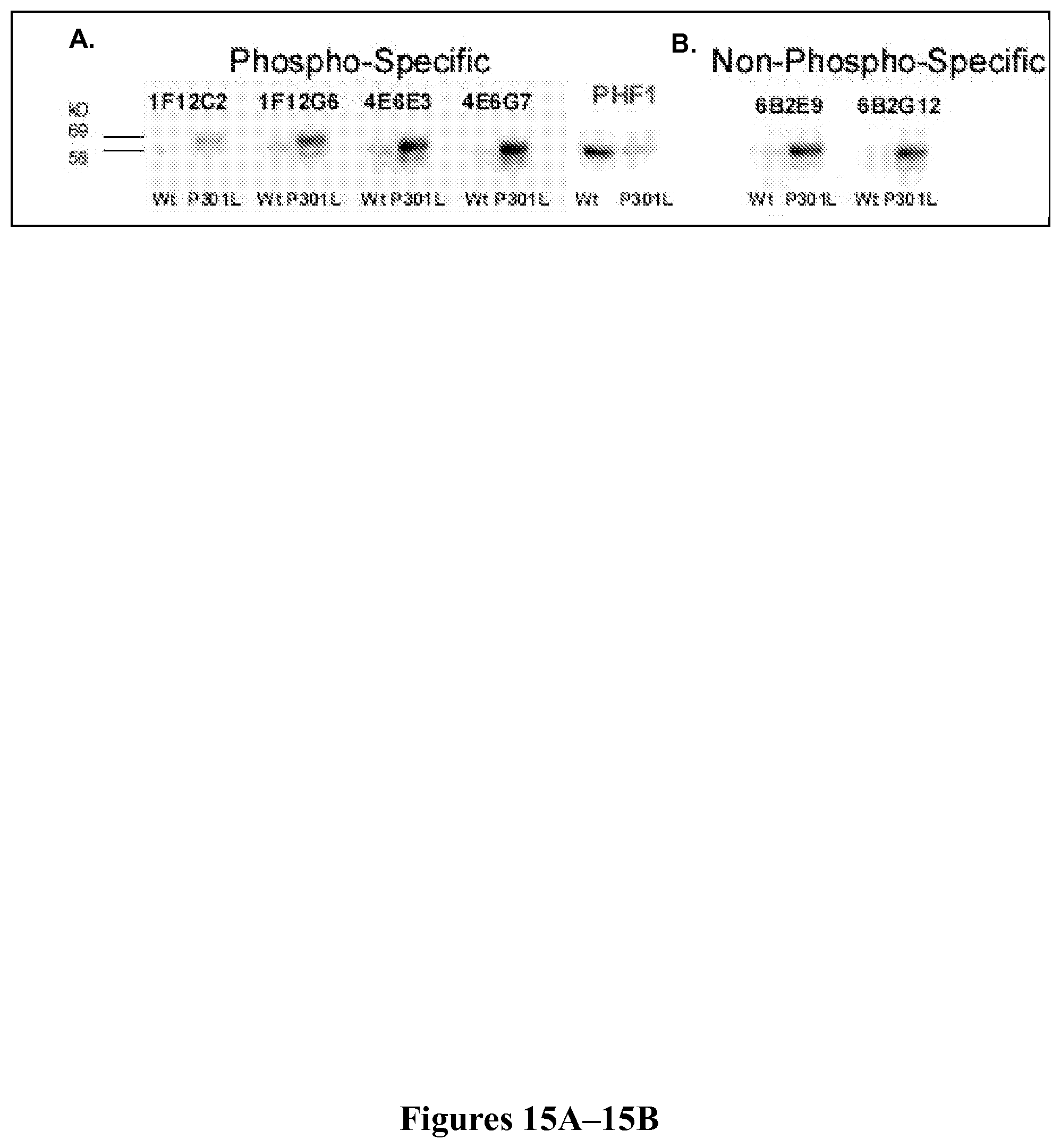 Patent US11787854 Figure 15 – Immunological targeting of pathological tau proteins
