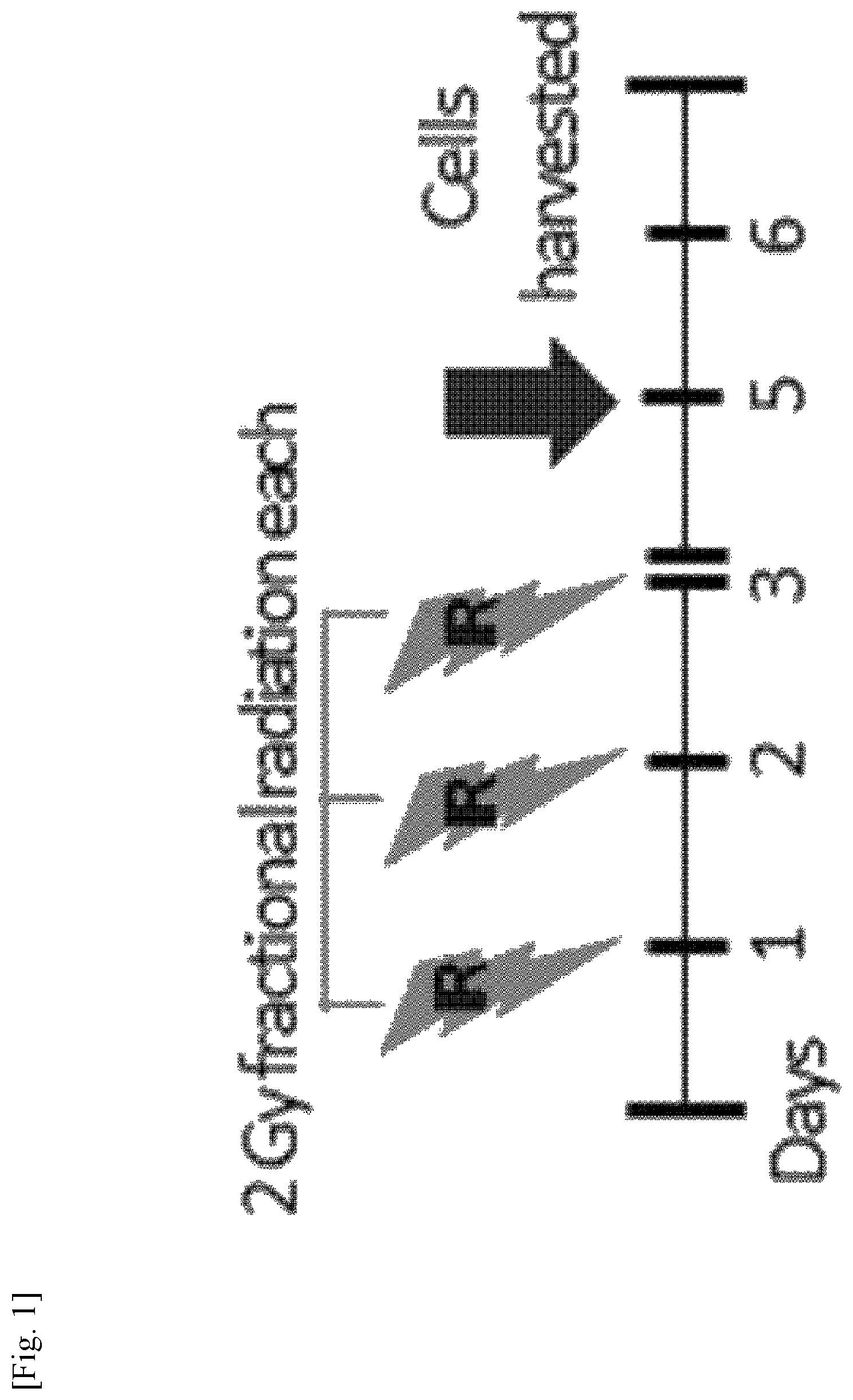 Patent US11787856 — Use of G-CSF antibody for treatment of pulmonary fibrosis — Figure 1