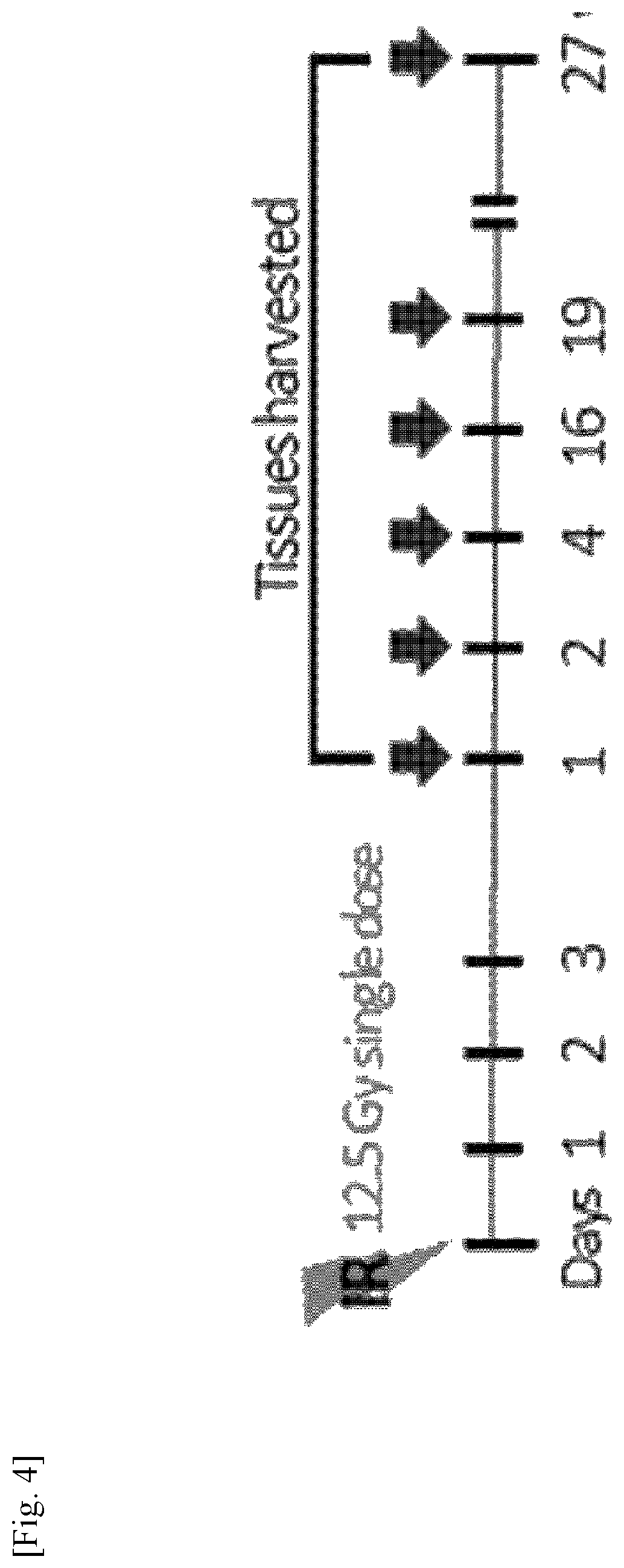 Patent US11787856 Figure 4 – Use of G-CSF antibody for treatment of pulmonary fibrosis