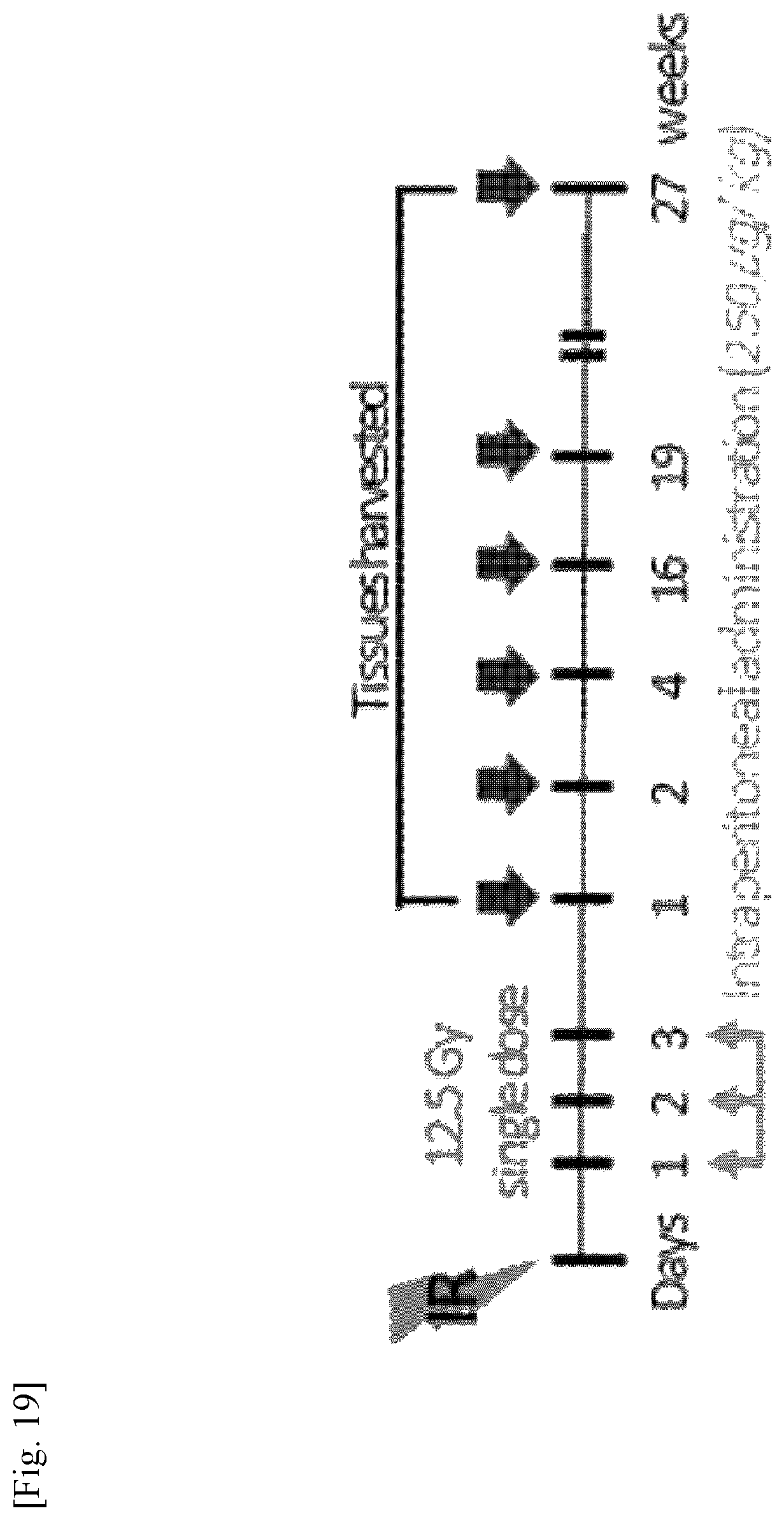 Patent US11787856 Figure 19 – Use of G-CSF antibody for treatment of pulmonary fibrosis