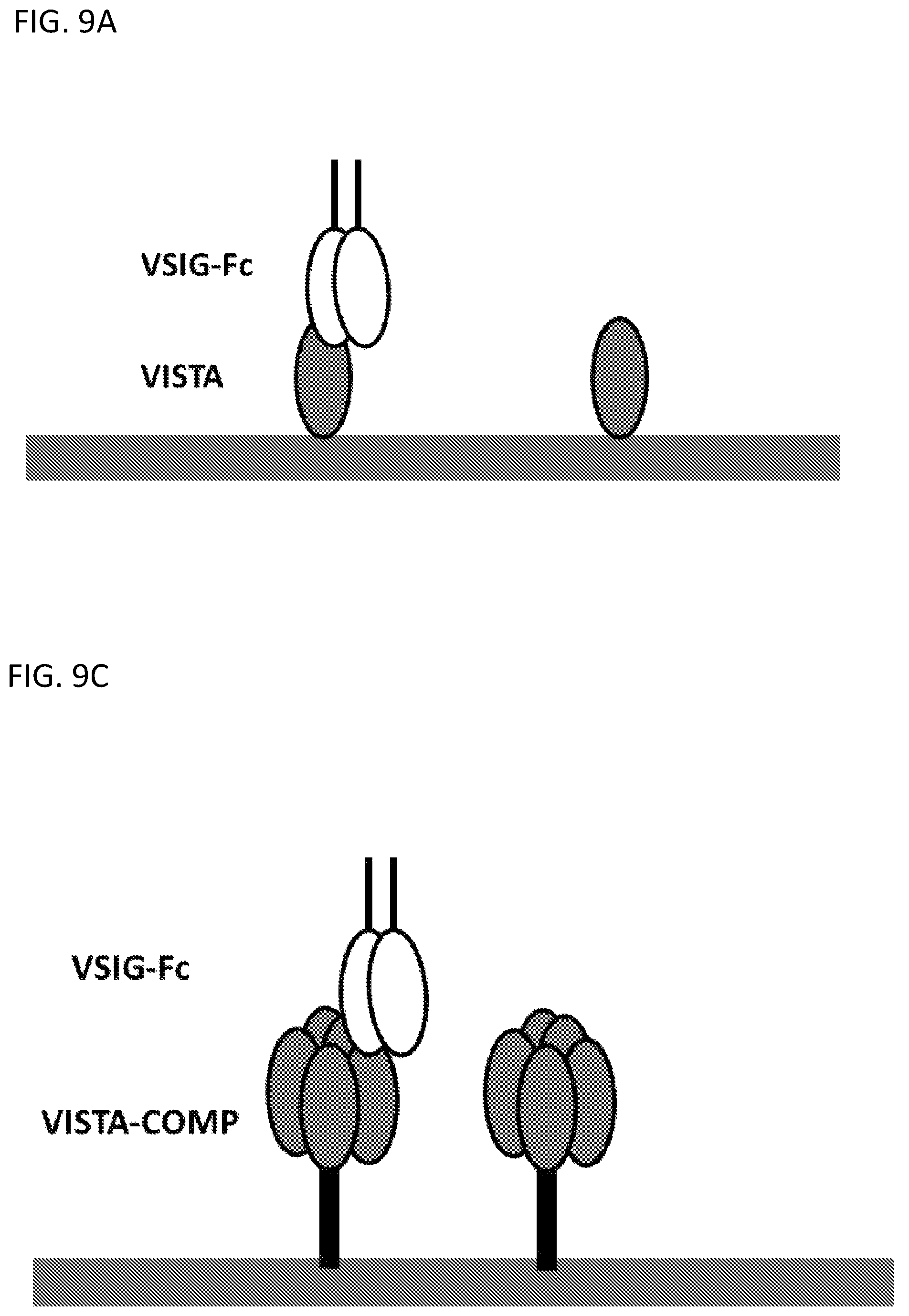 Patent US11787857 Figure 10 – Compounds that modulate the interaction of VISTA and VSIG3 and methods of making and using