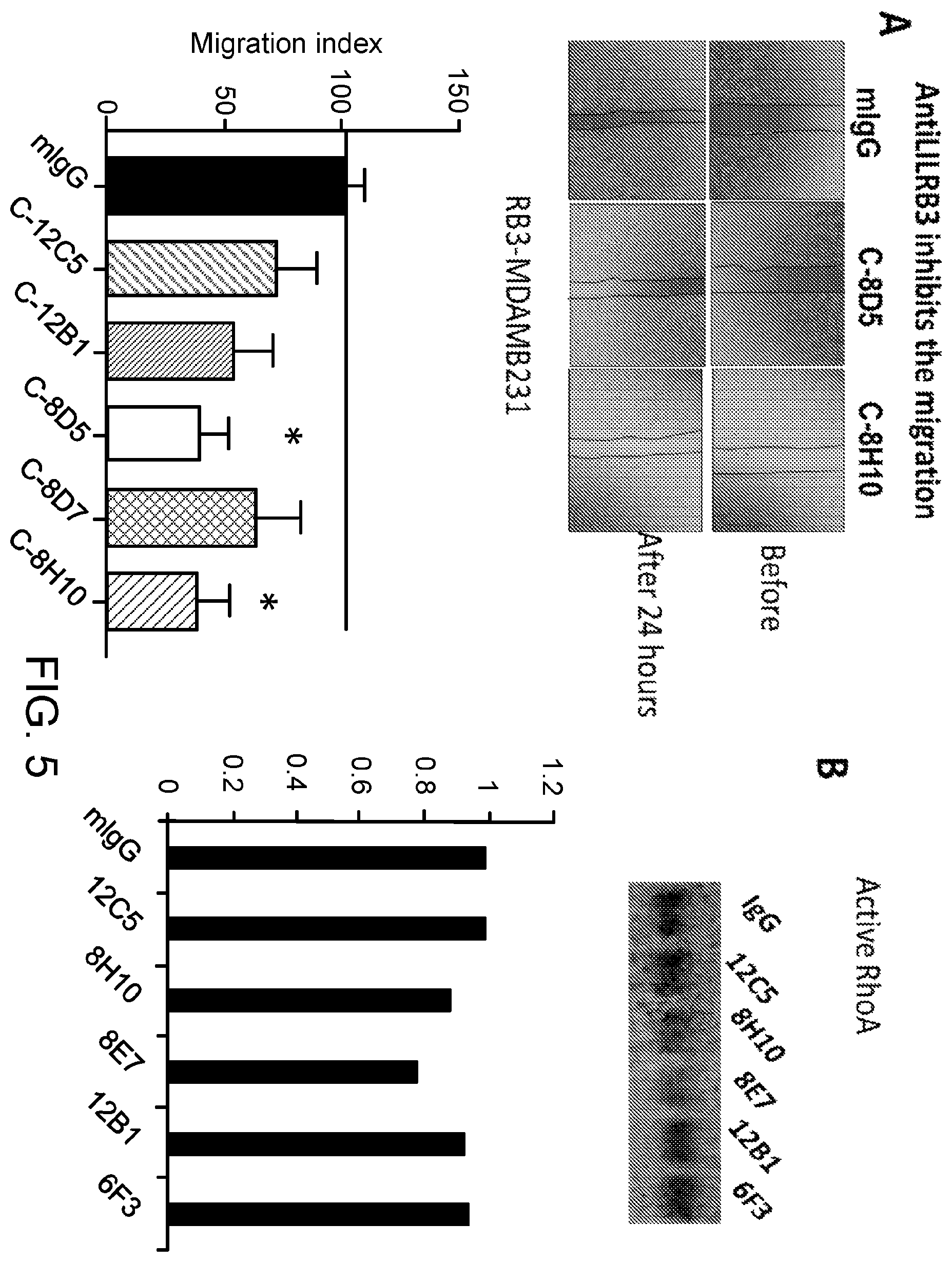 Patent US11787858 Figure 13 – Anti-LILRB3 antibodies and methods of use thereof